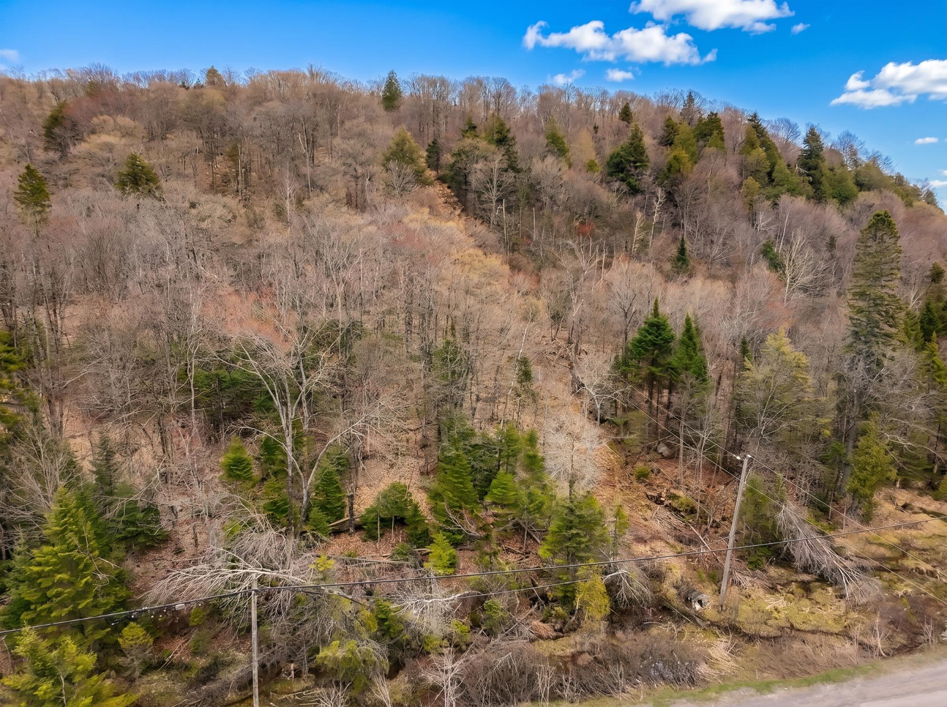 Land/Lot