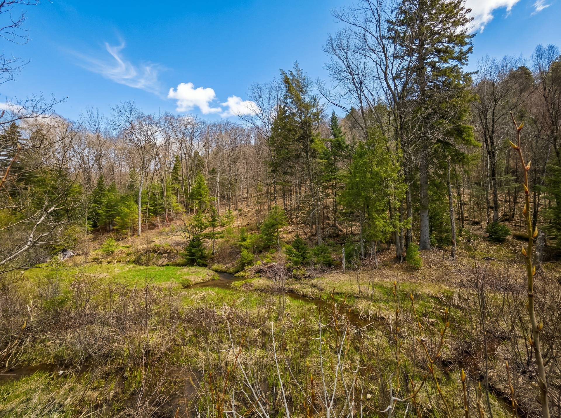 Land/Lot
