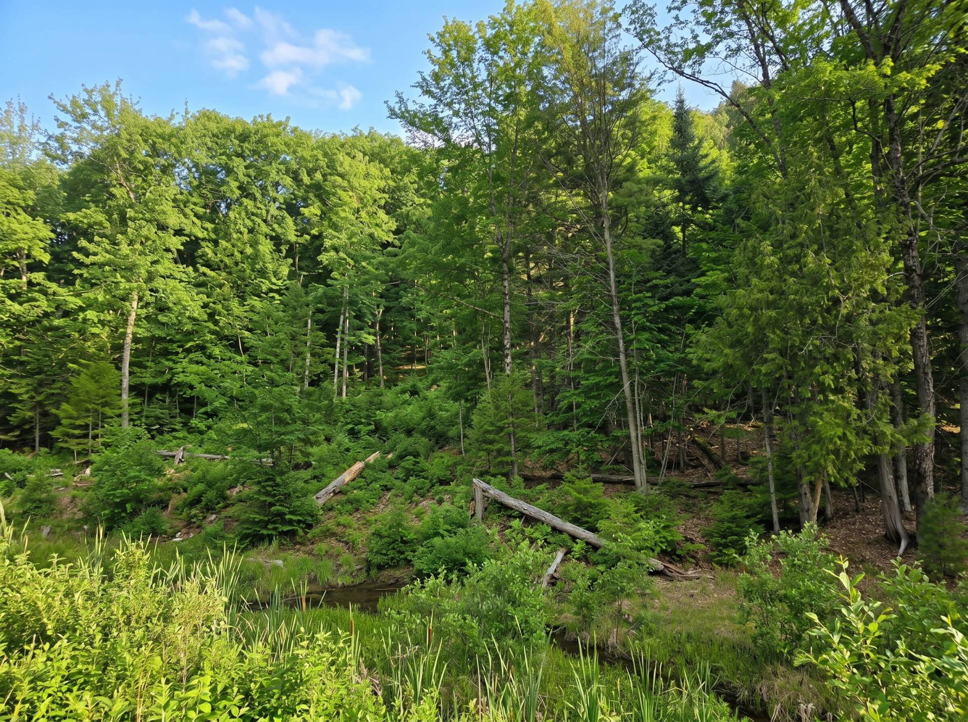 Land/Lot
