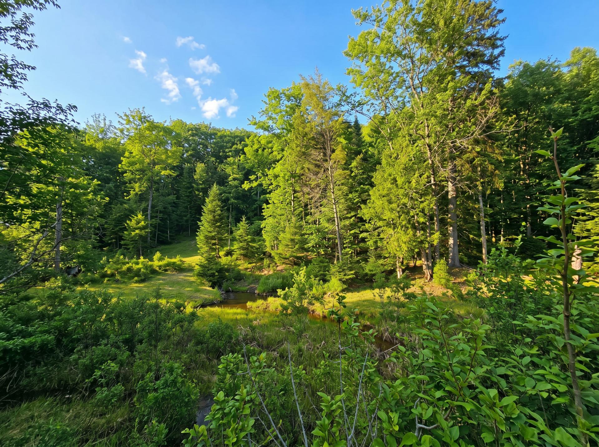 Land/Lot