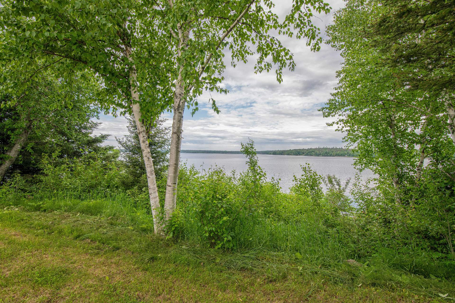 Water view
