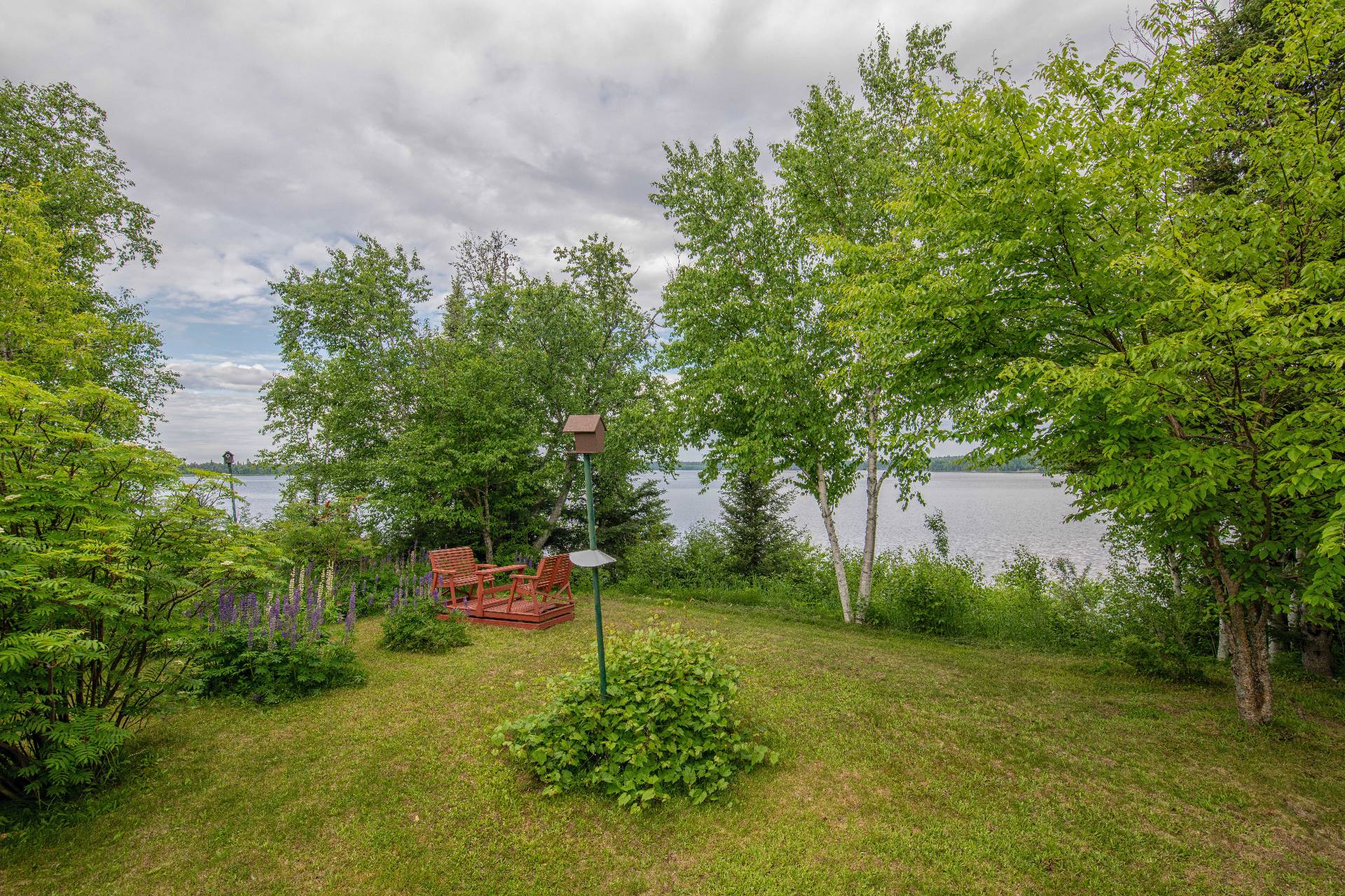 Overall View