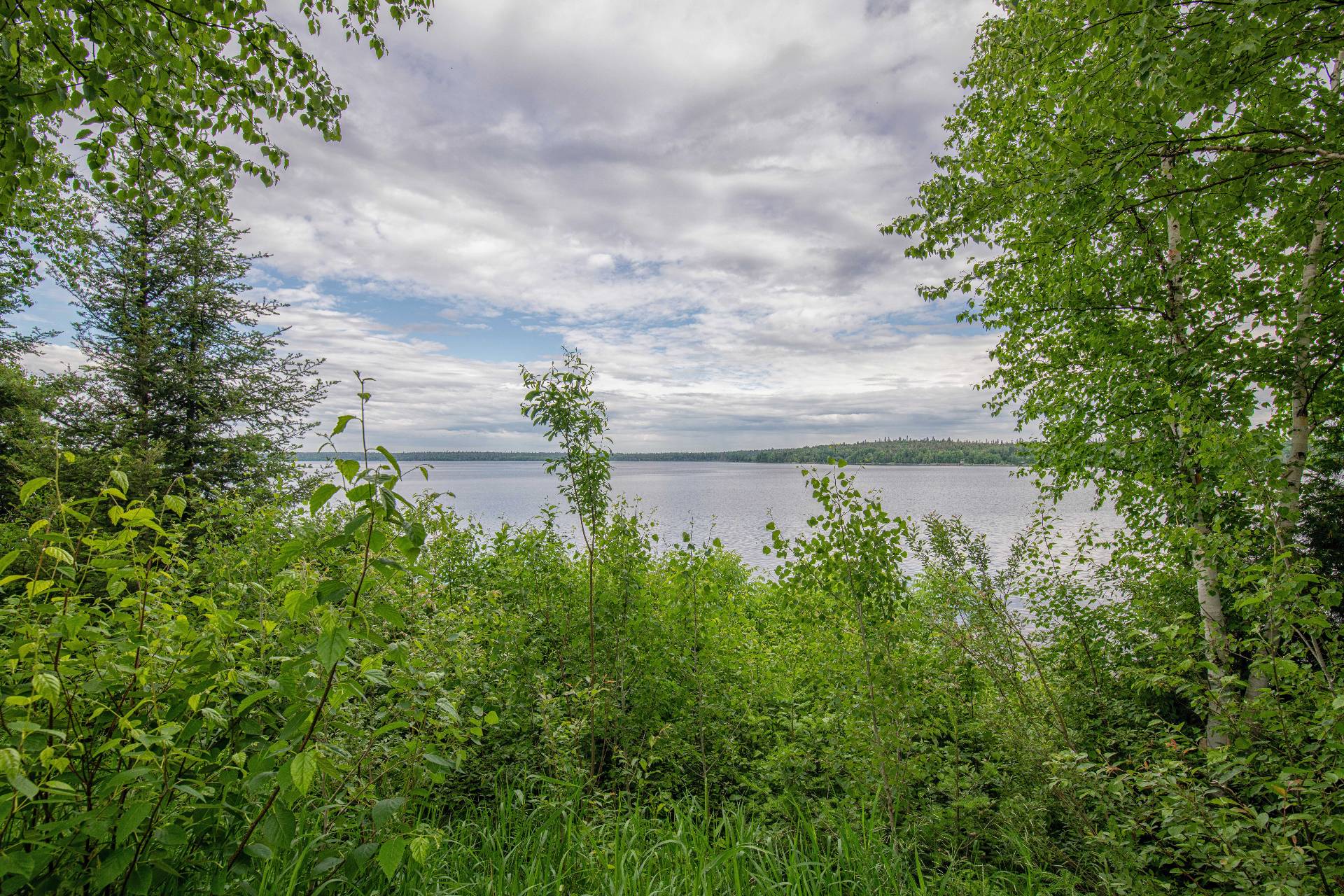 Water view