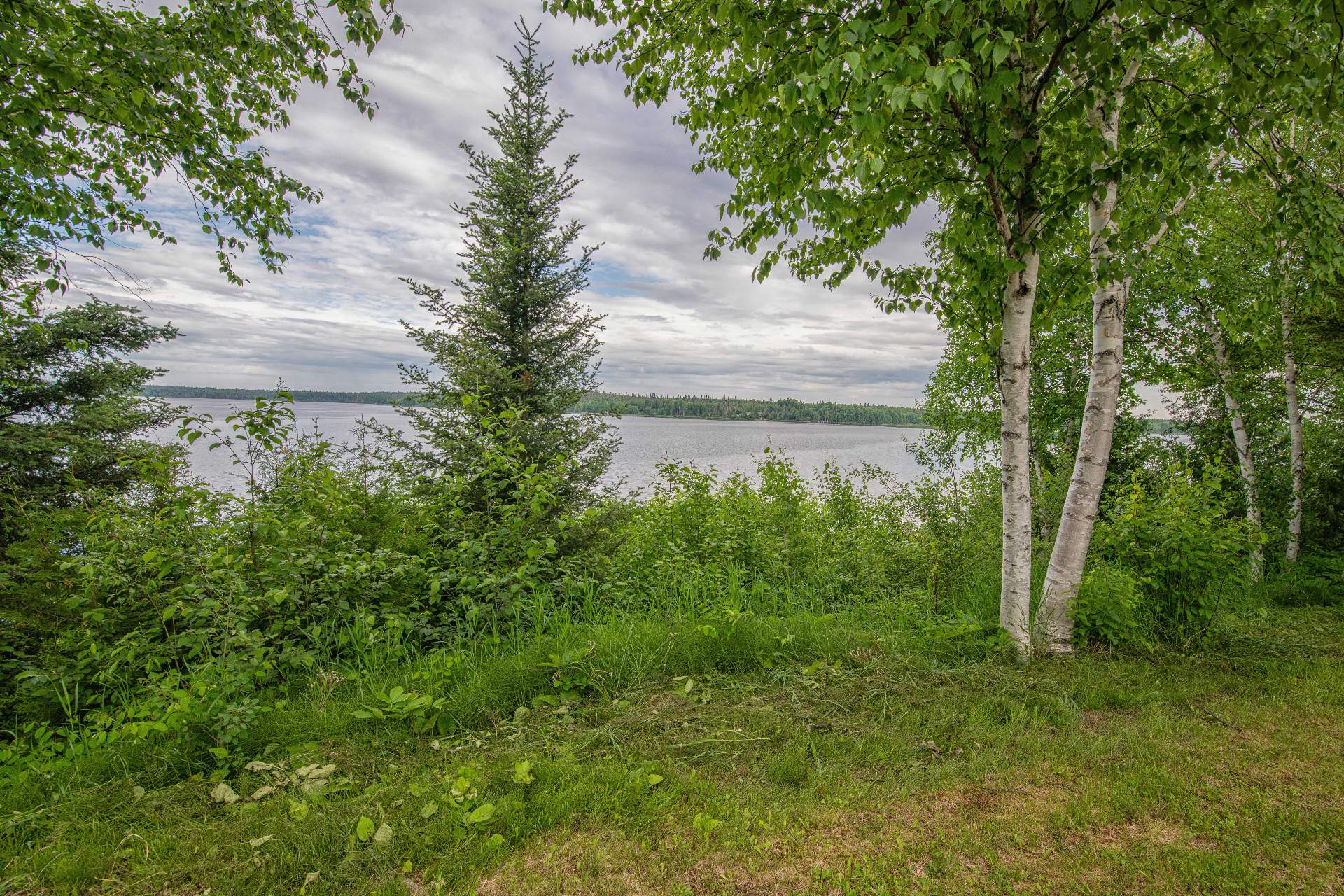 Water view