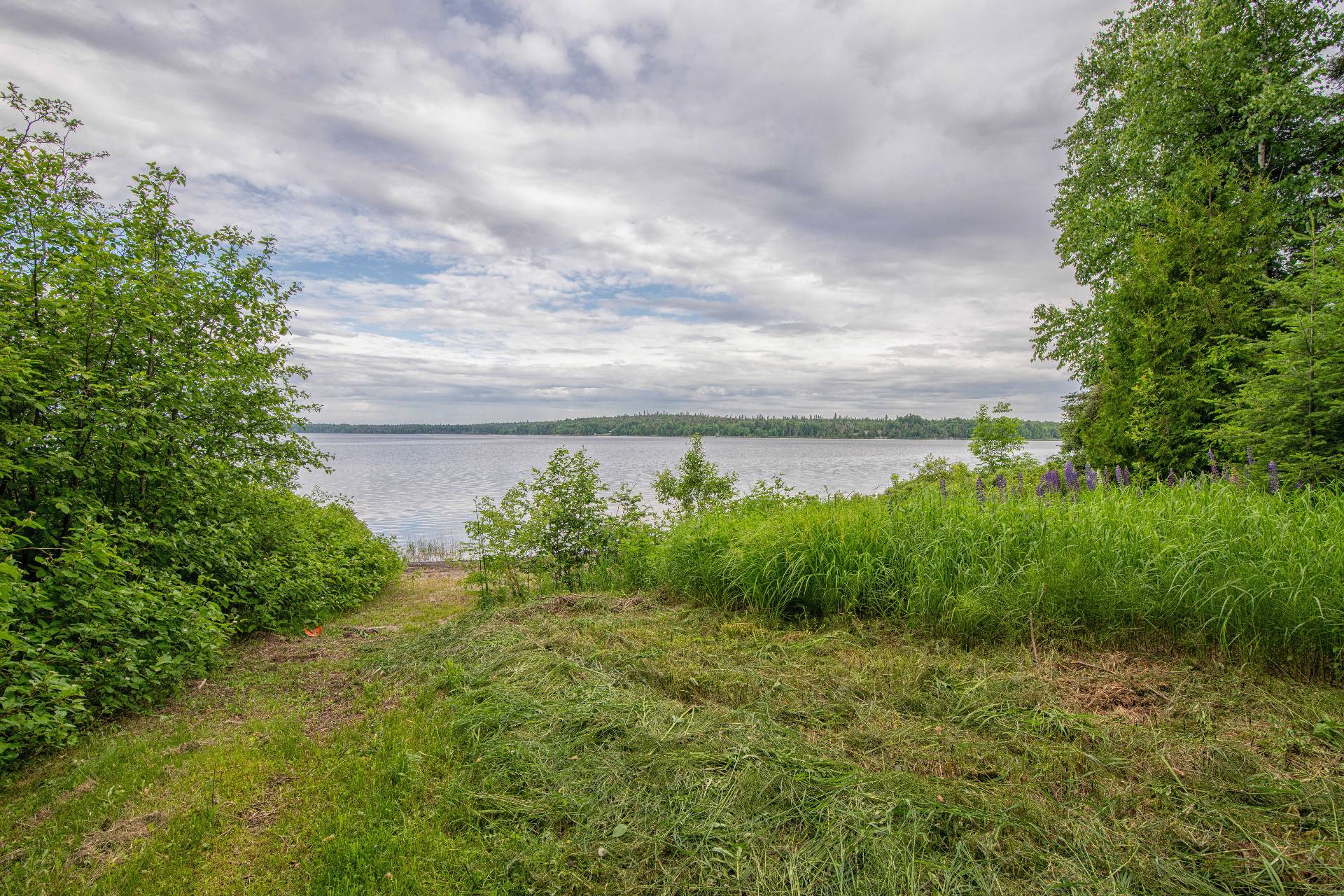 Water view