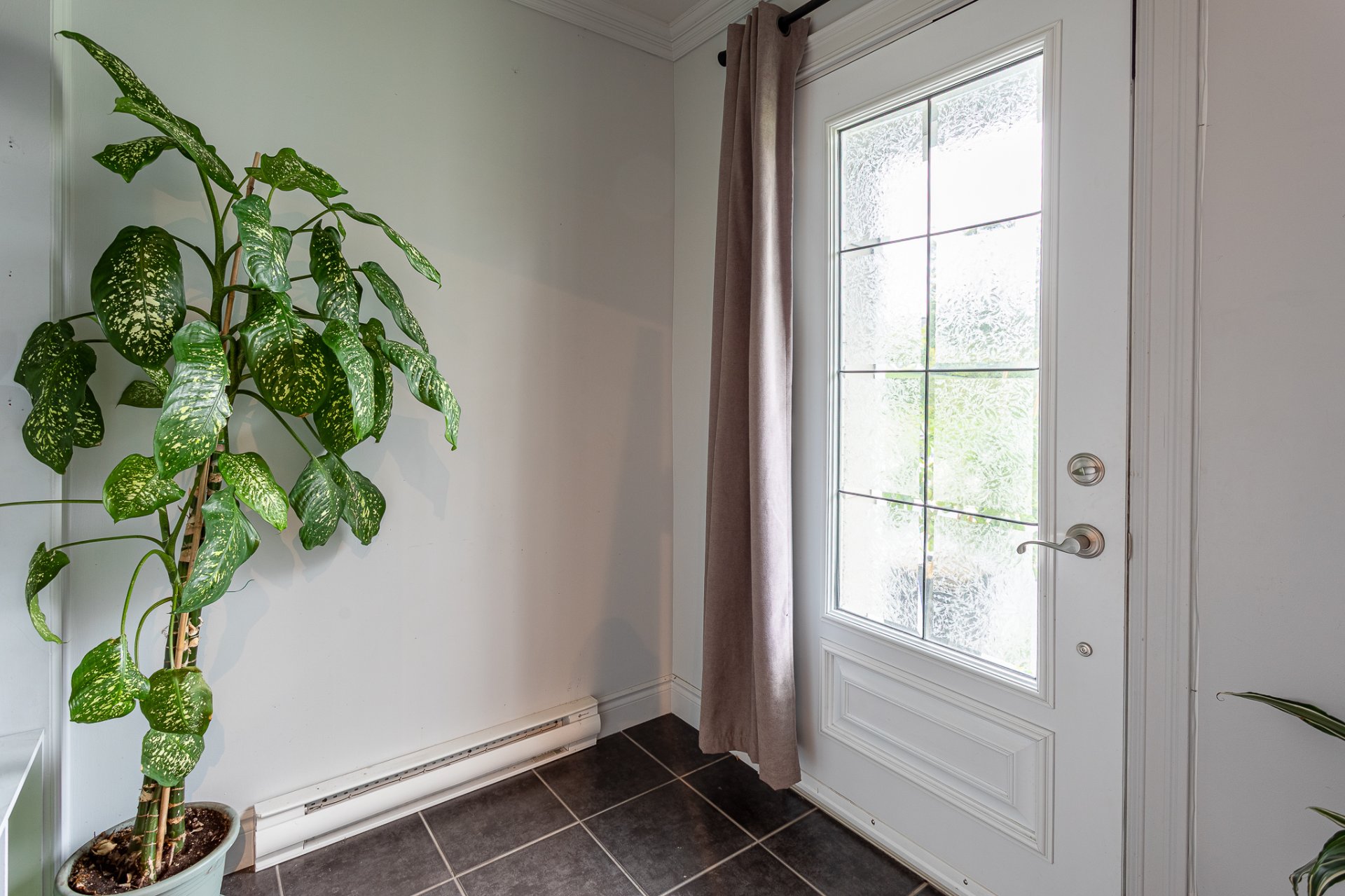 Hall d'entrée/Vestibule