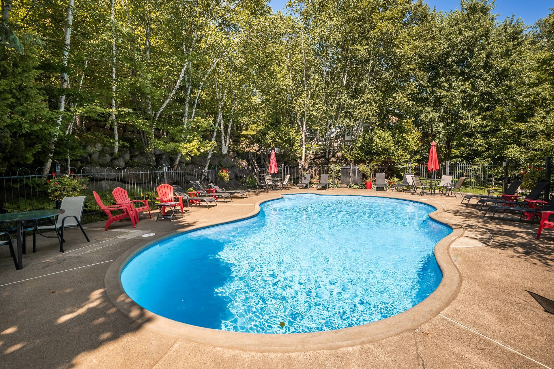 Piscine
