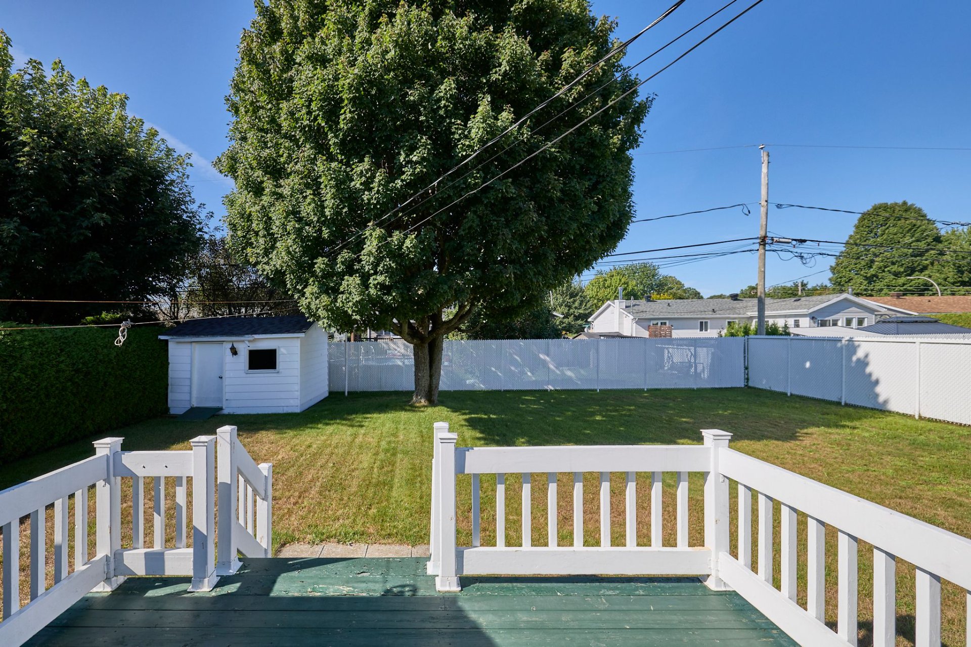 Backyard