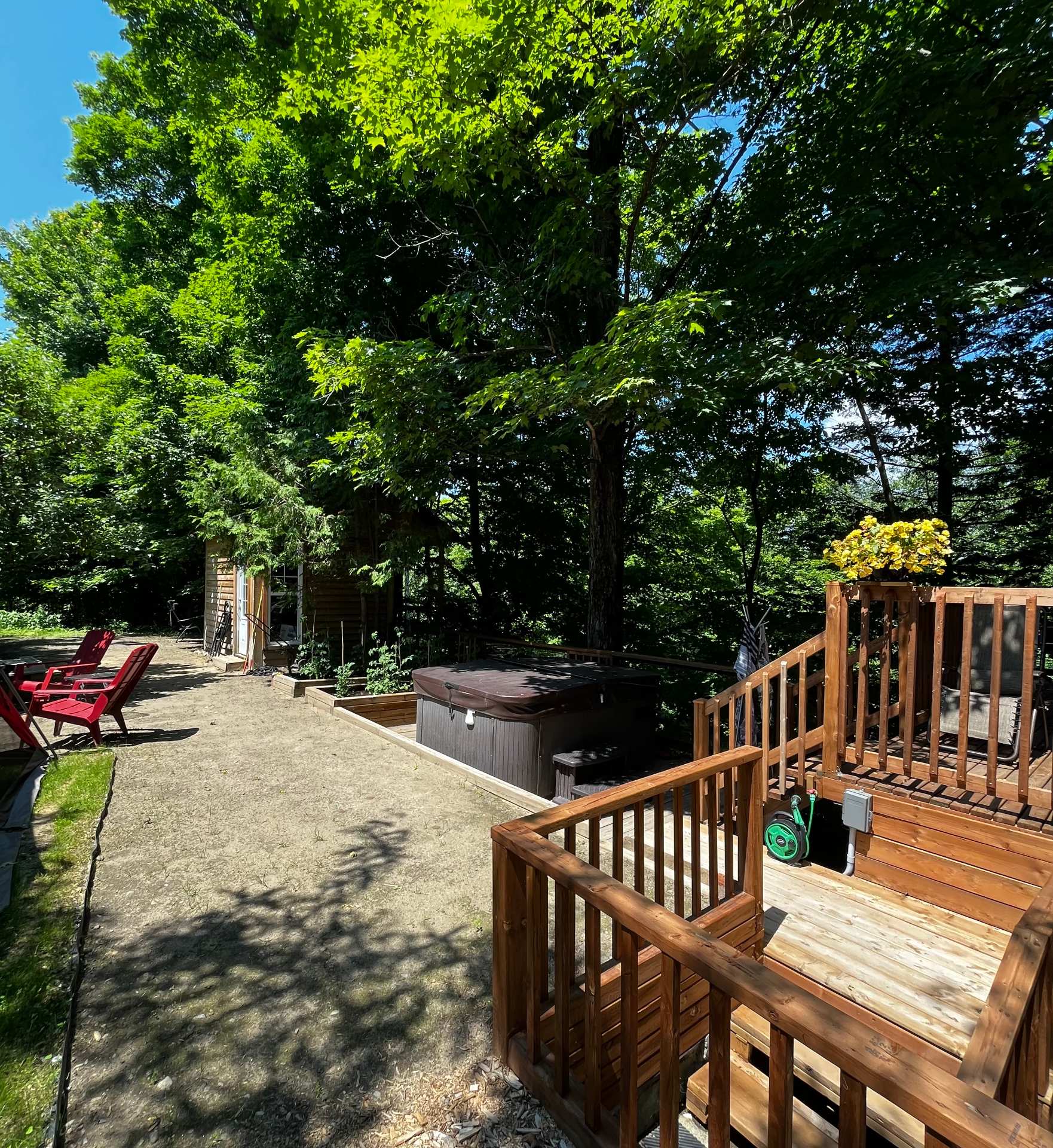 Backyard