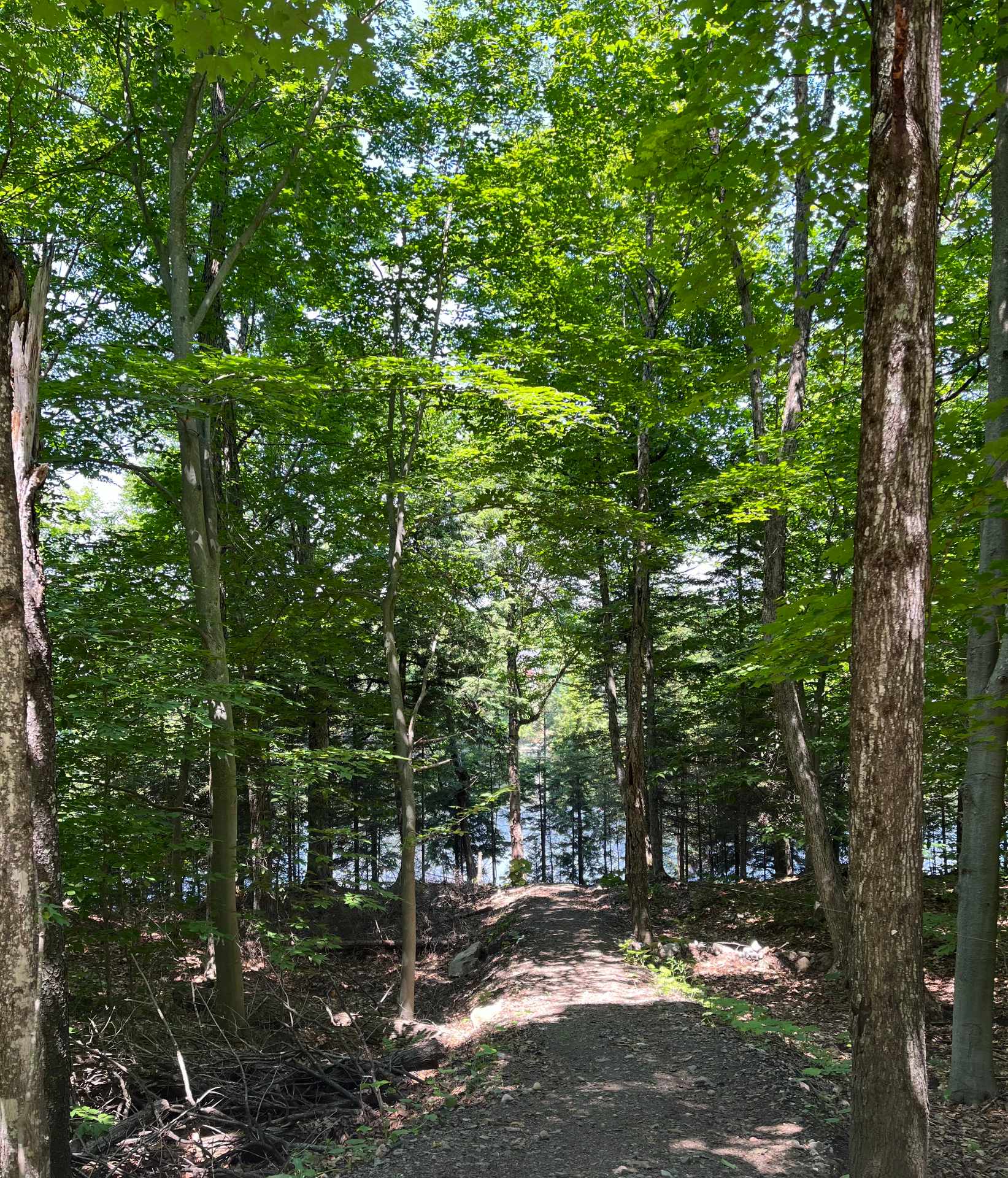 terrain des Érables, lac Roger MLS 23492680