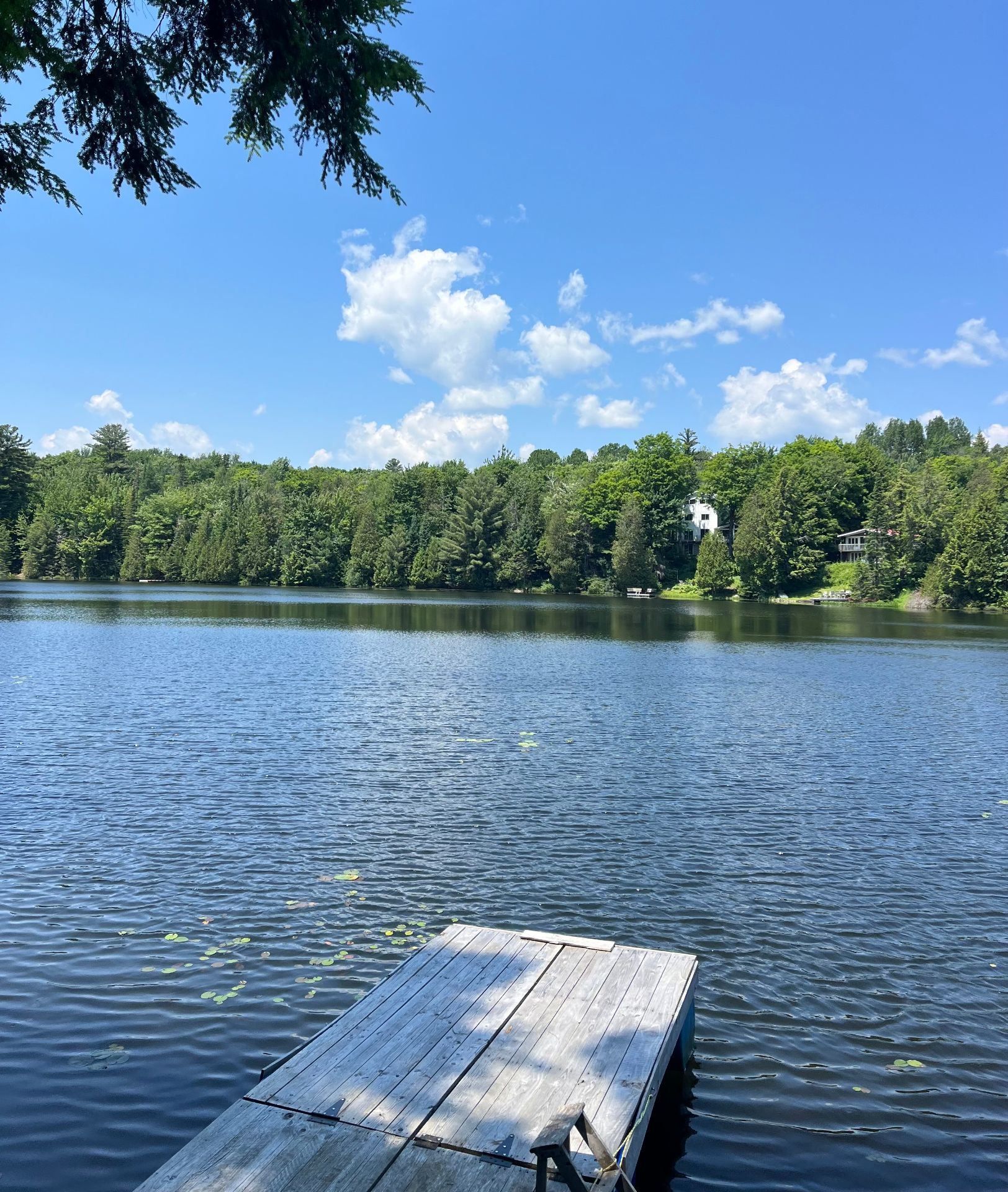 Water view