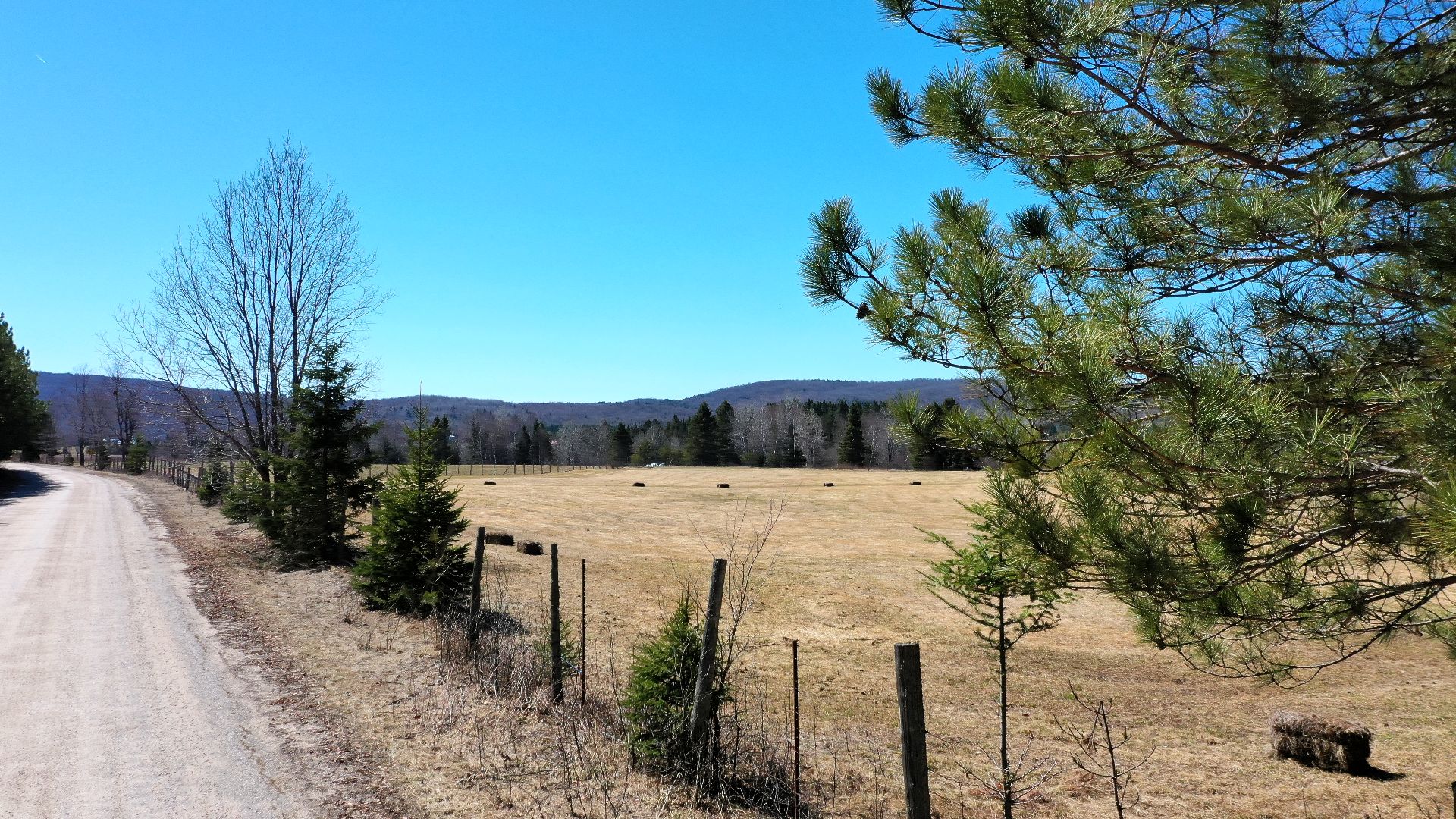Terre/Terrain