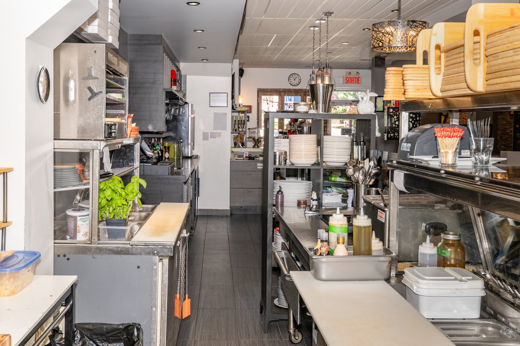 Overall View