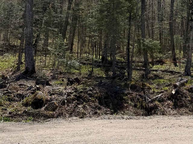 Terre/Terrain
