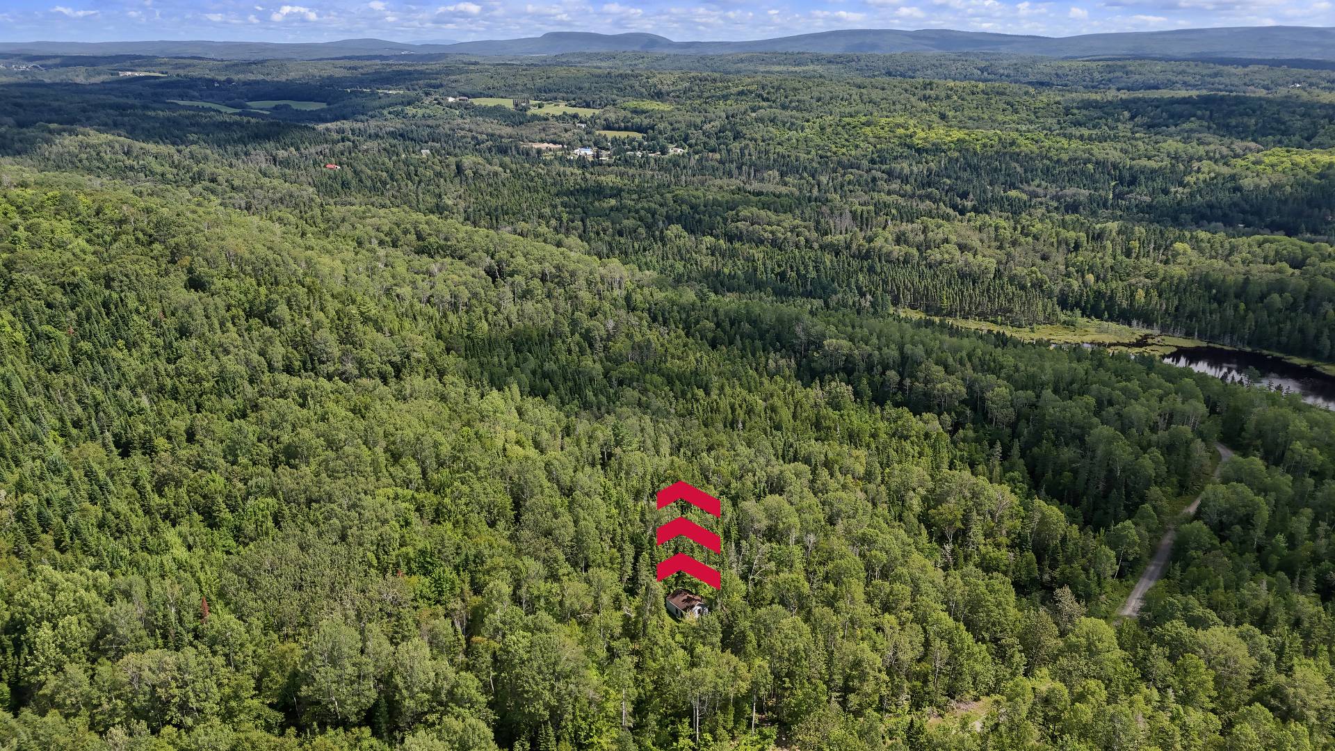 Aerial photo