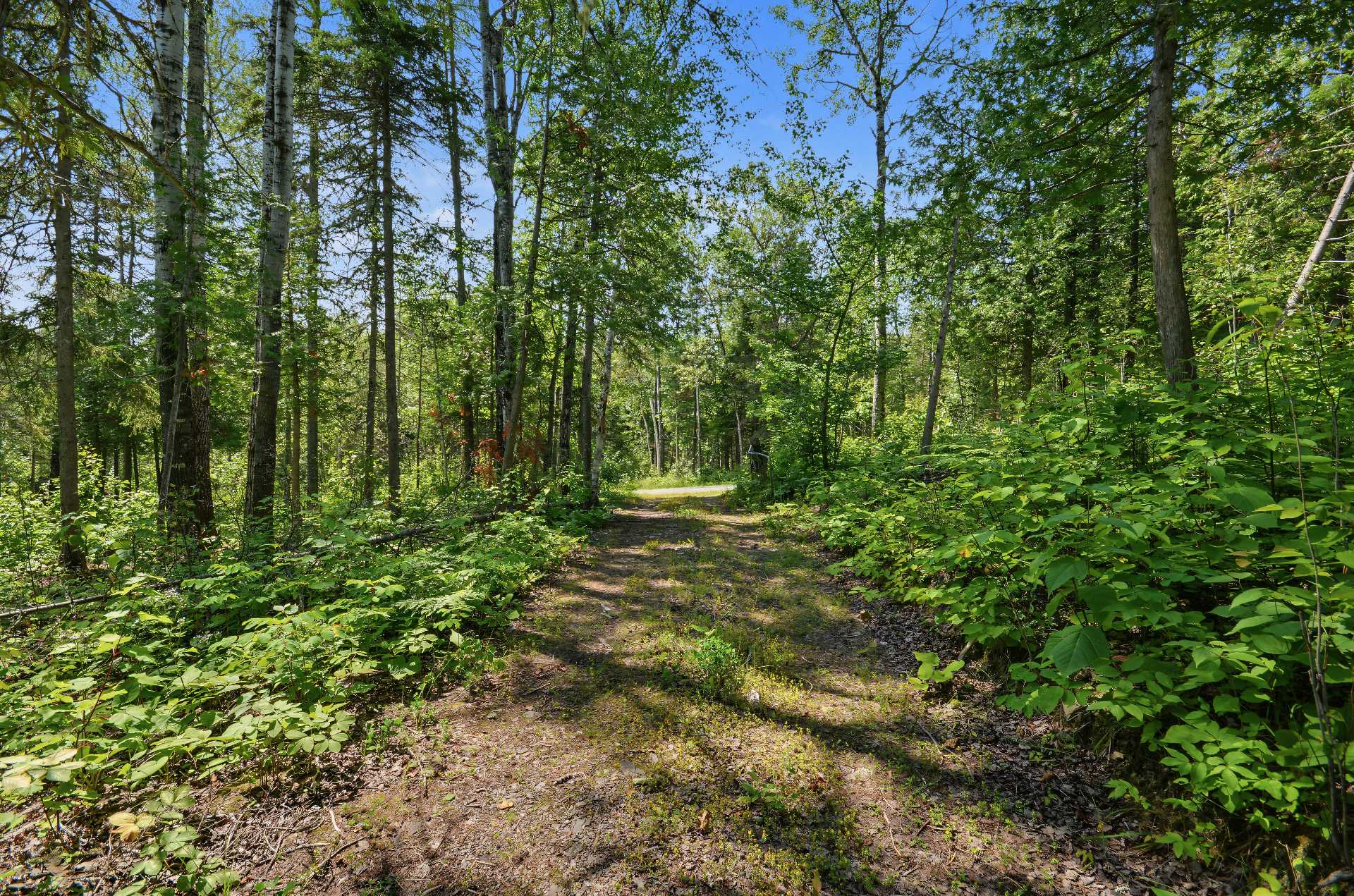 Land/Lot