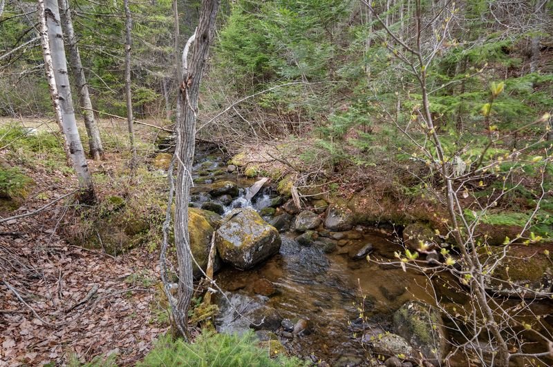 Ruisseau
