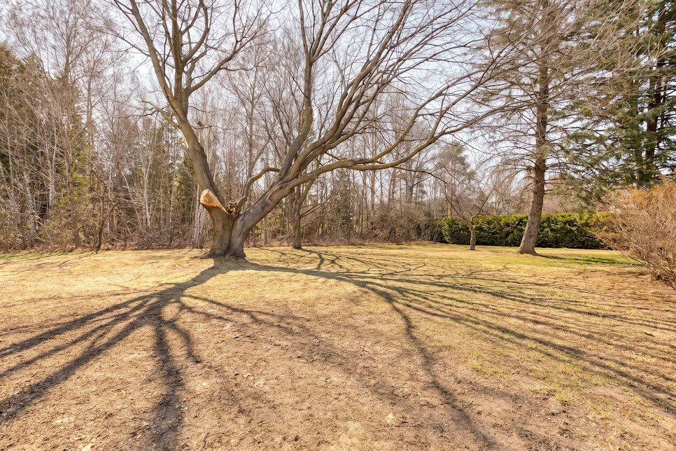 Land/Lot