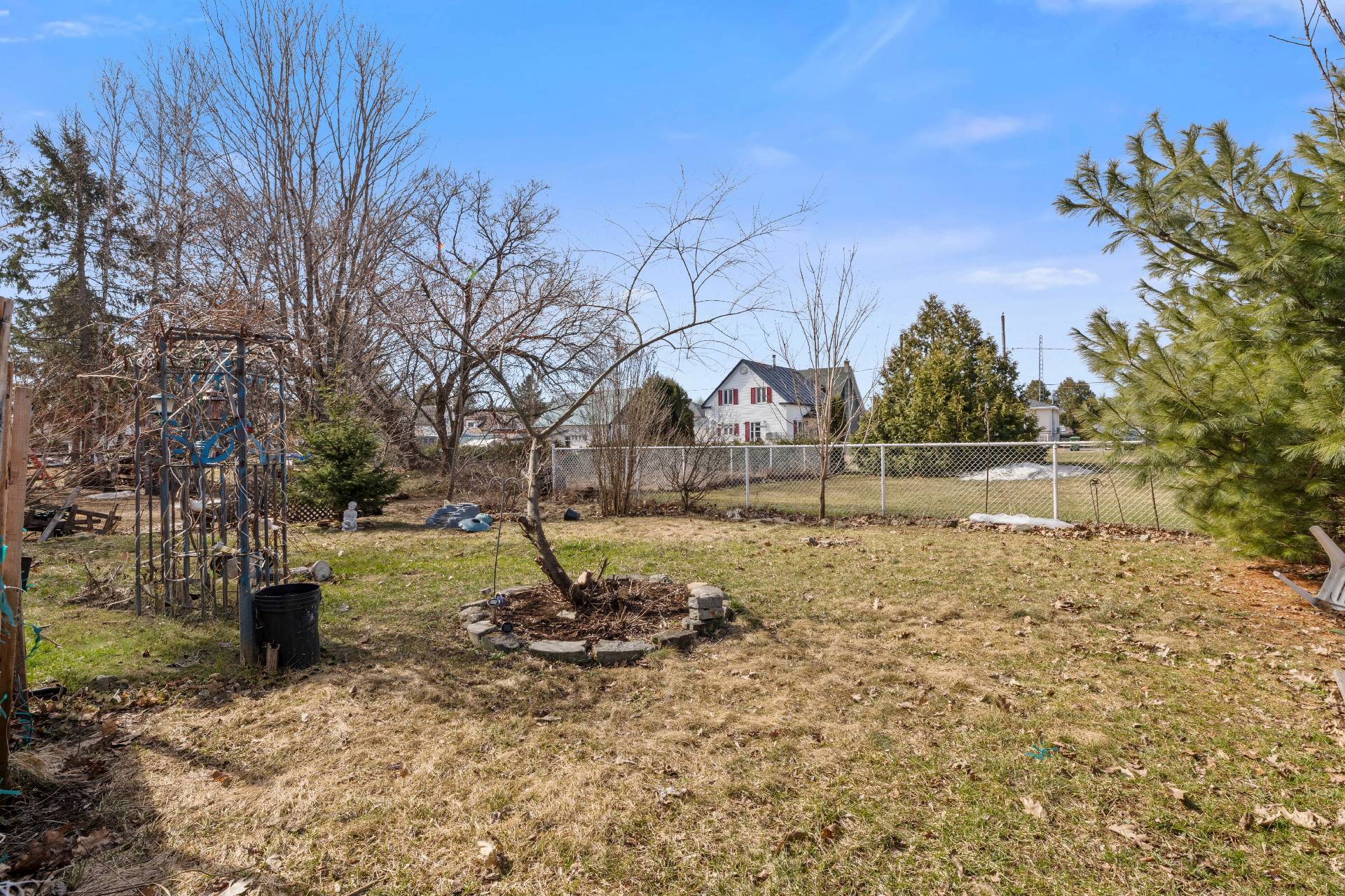 Backyard