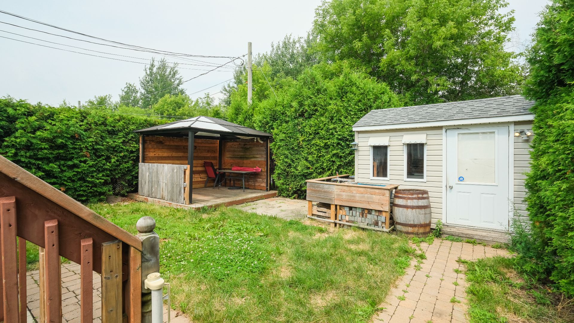 Backyard
