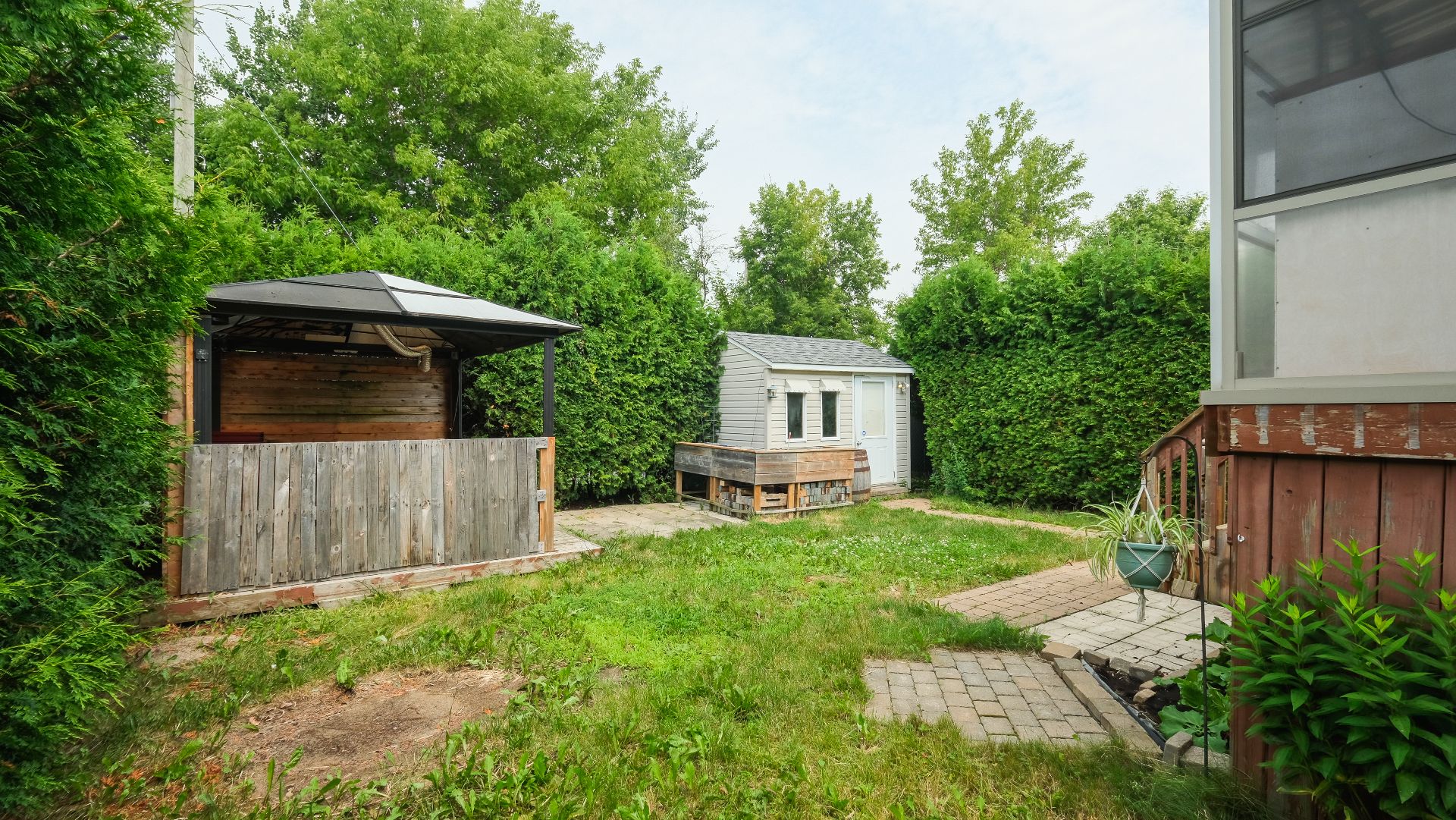 Backyard