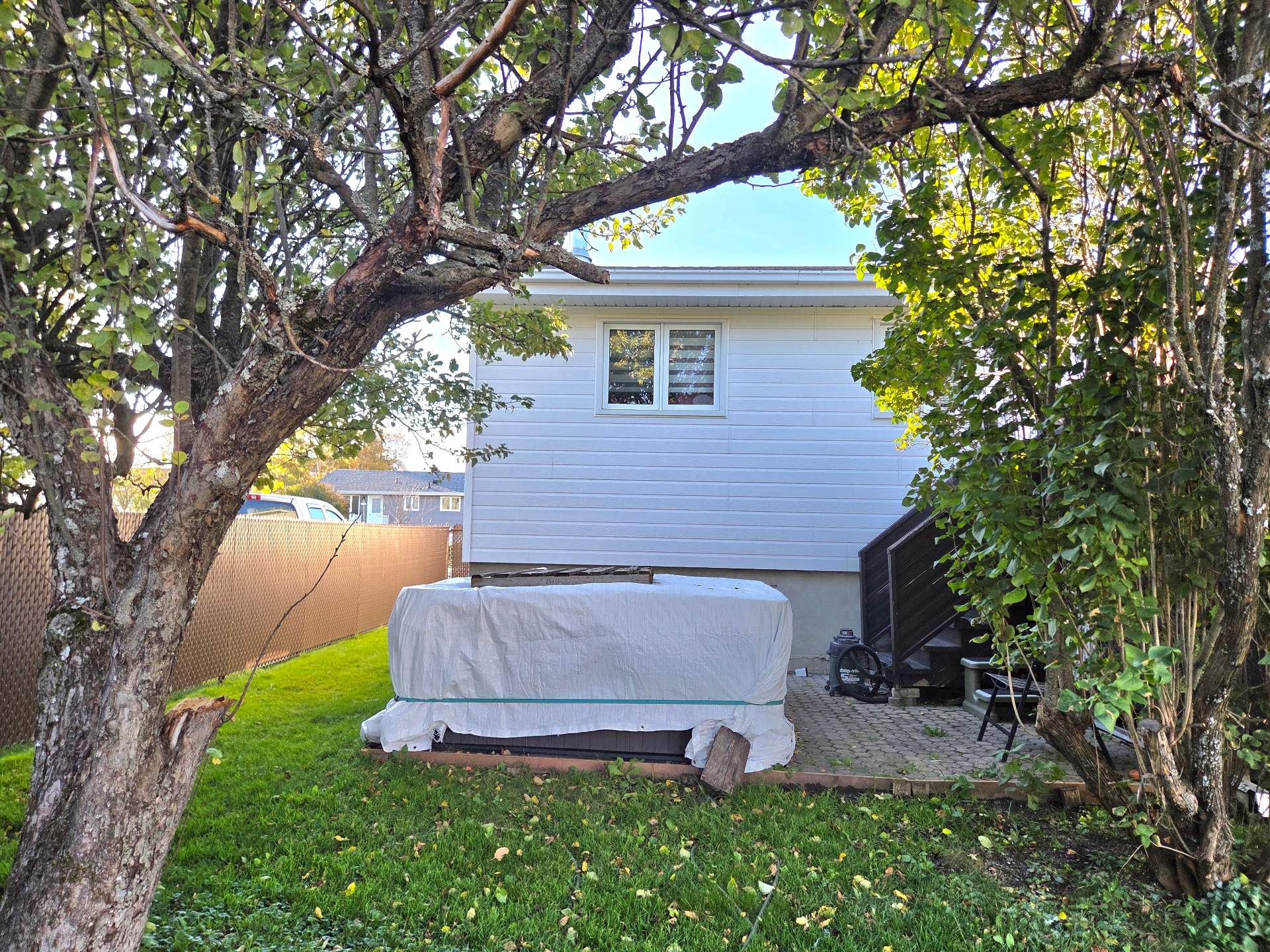 Backyard