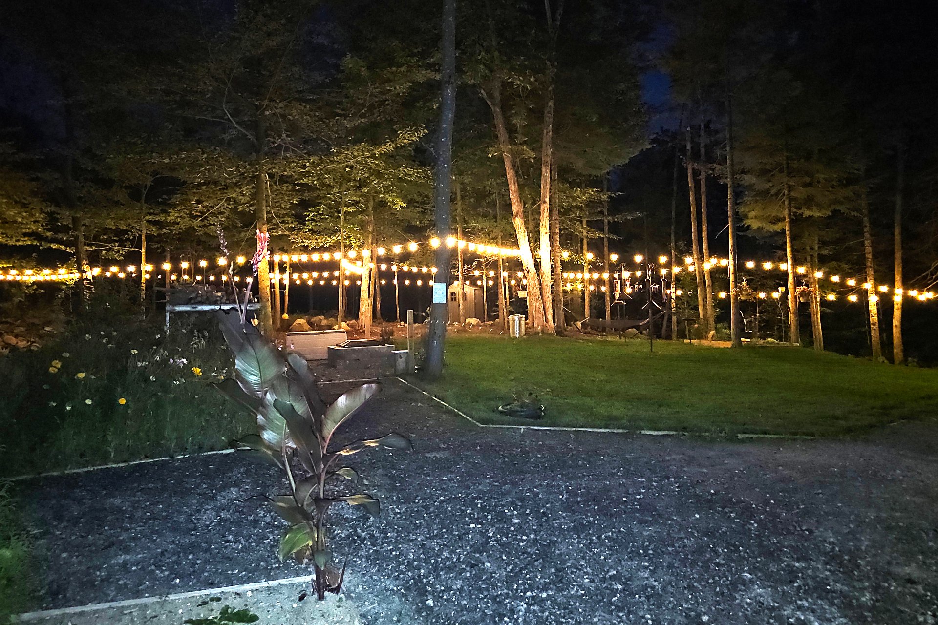 Éclairage soirée cour arrière (PHOTO DU VENDEUR)
