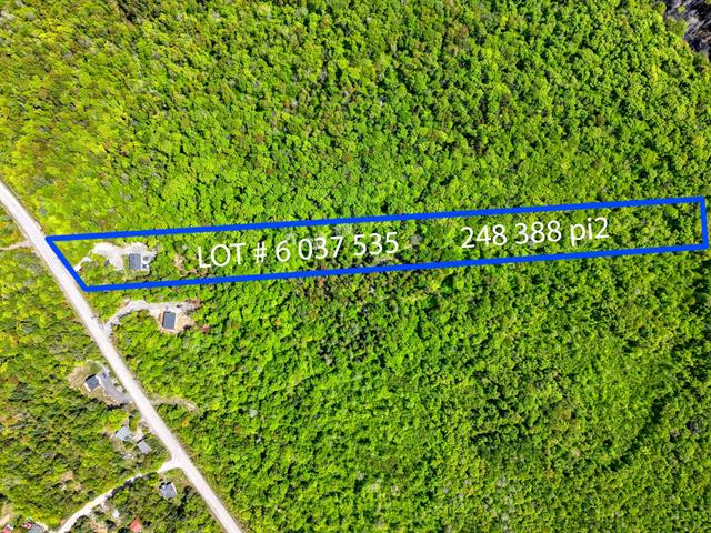Wooded lot, area 248,388 sq ft (5.7 acres)