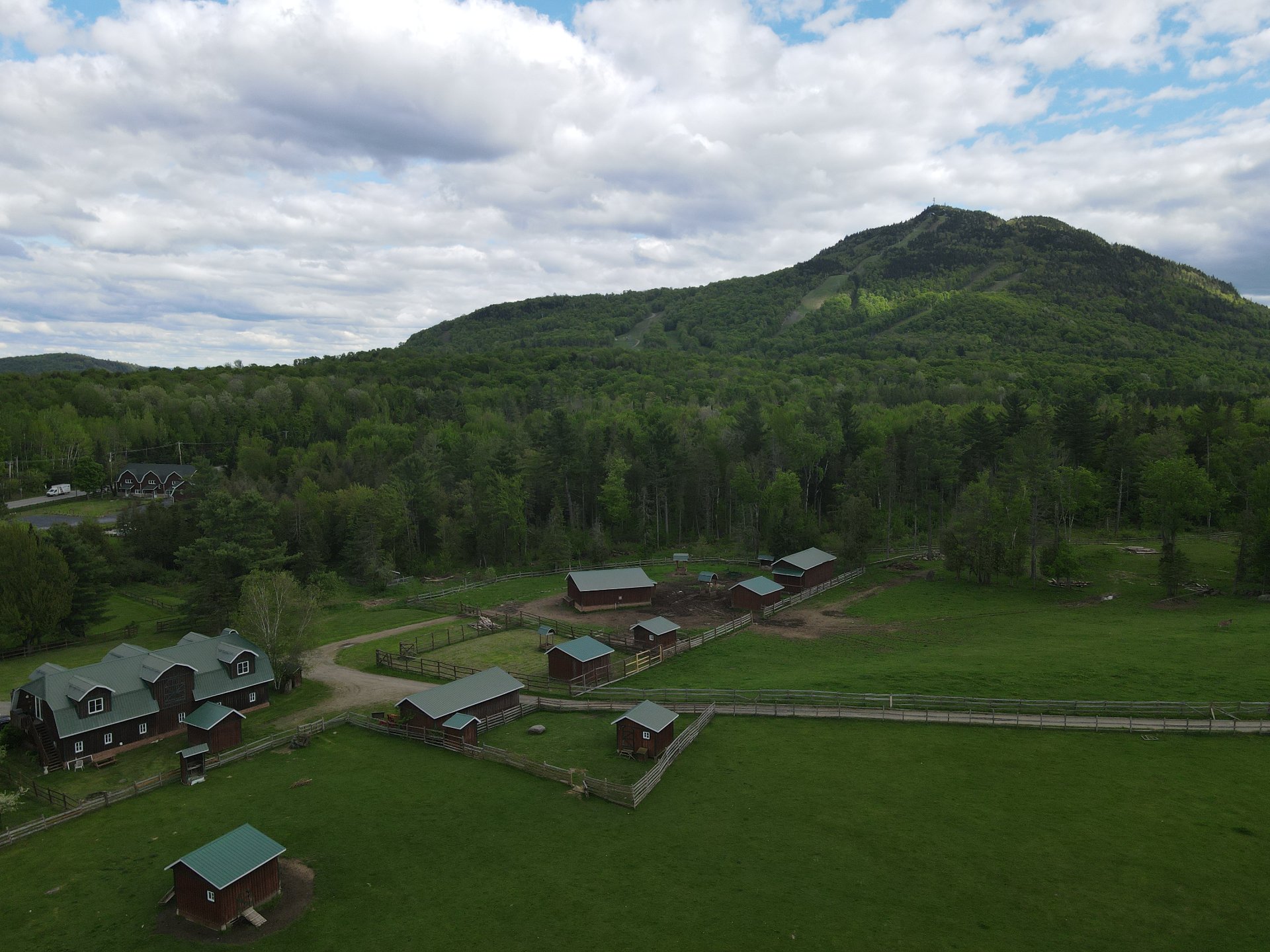 Overall View