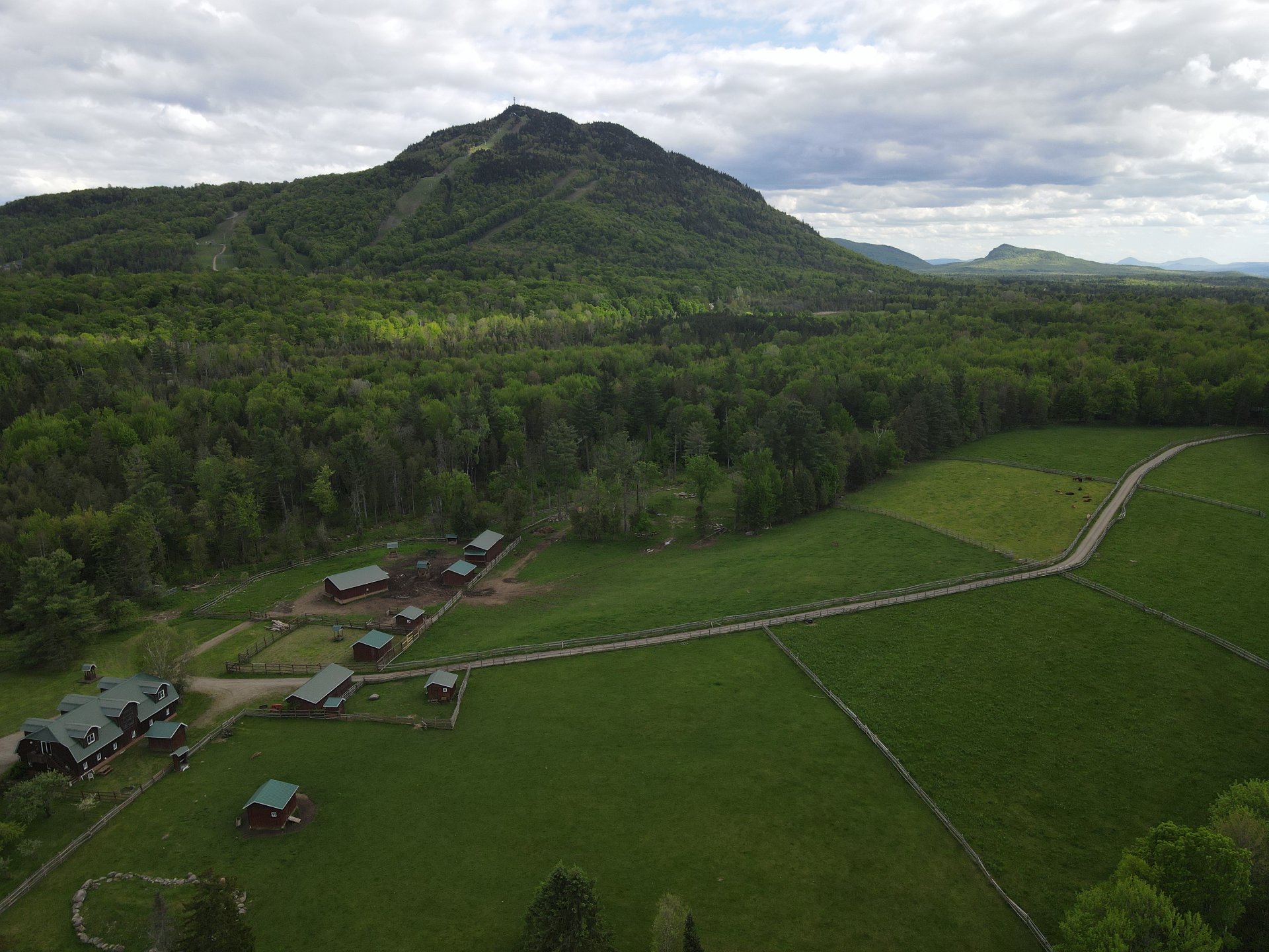 Overall View