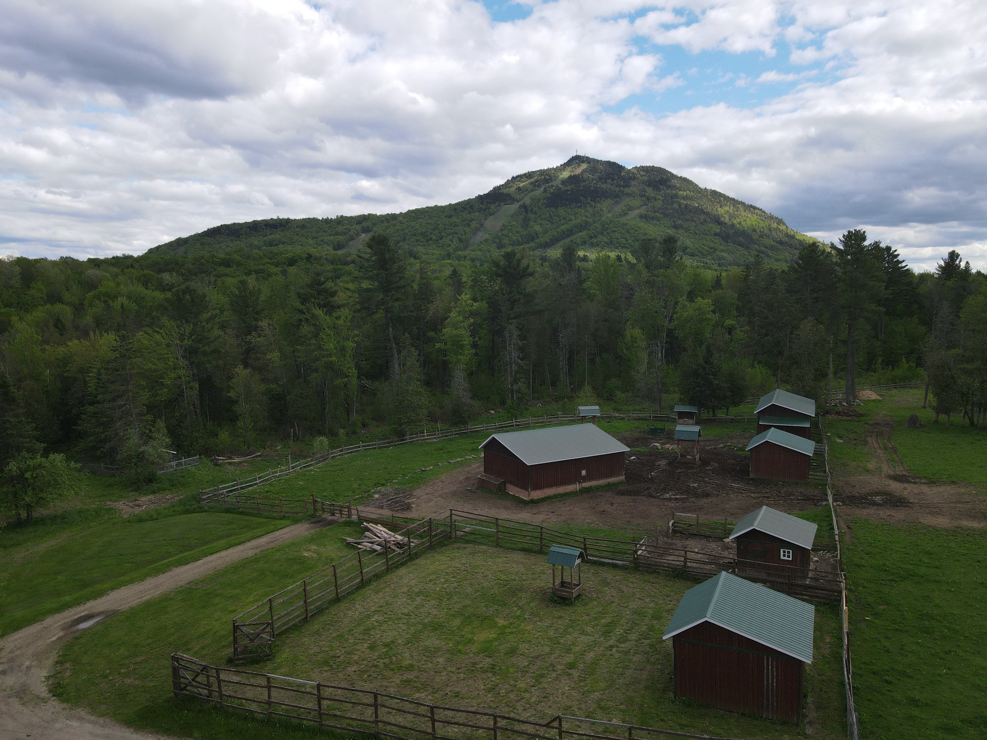 Overall View