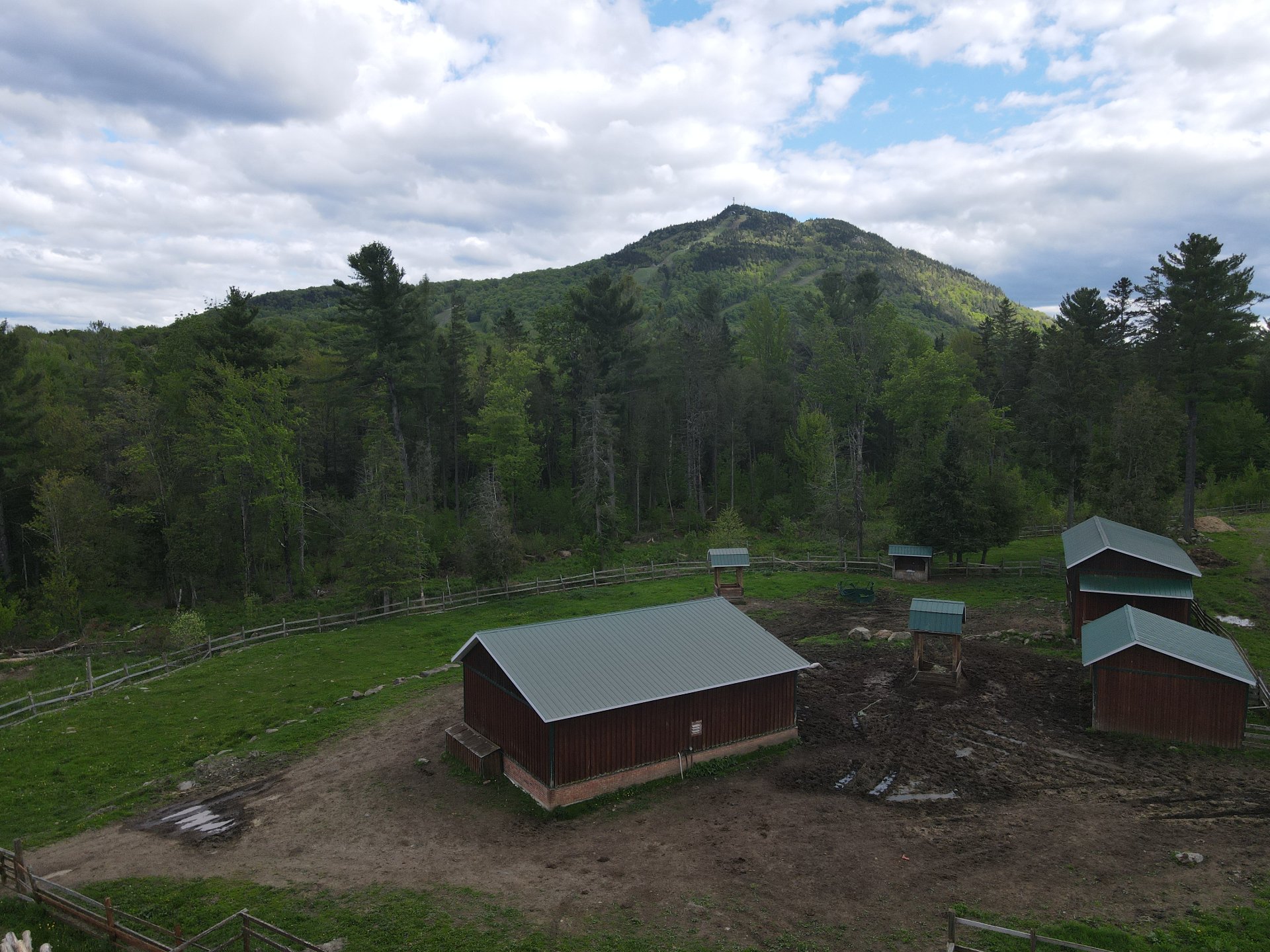 Overall View