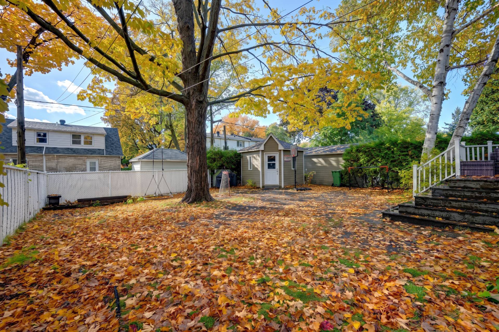 Backyard