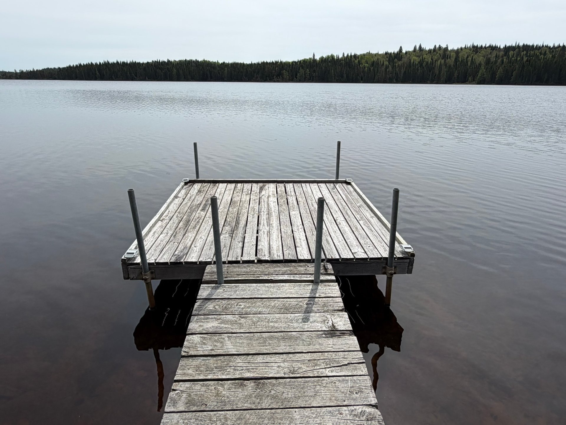 Bord de l'eau