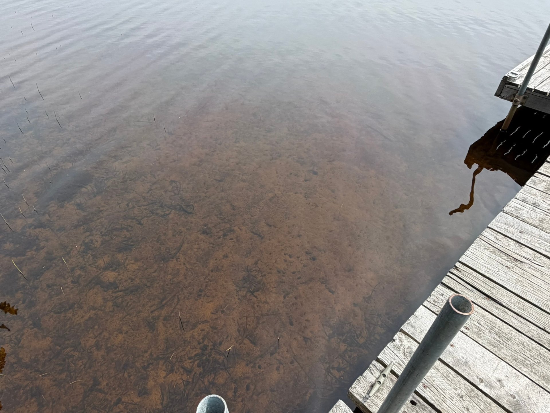Bord de l'eau