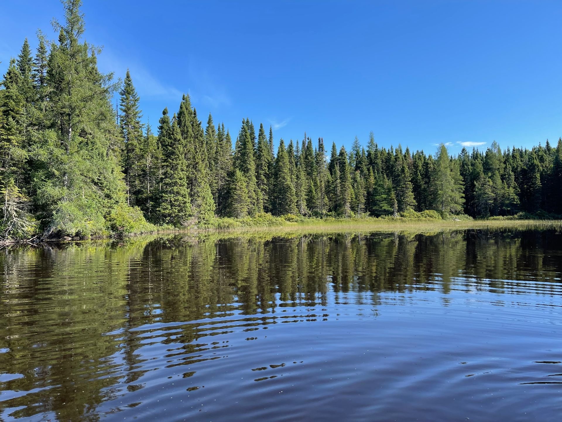 Vue sur l'eau