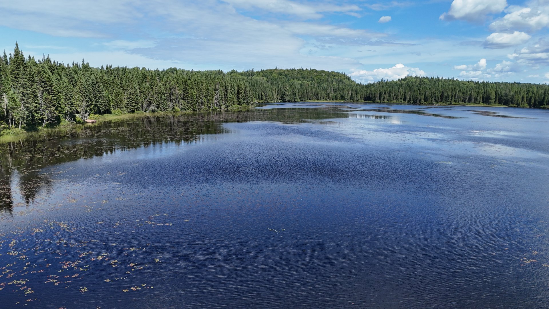Vue sur l'eau