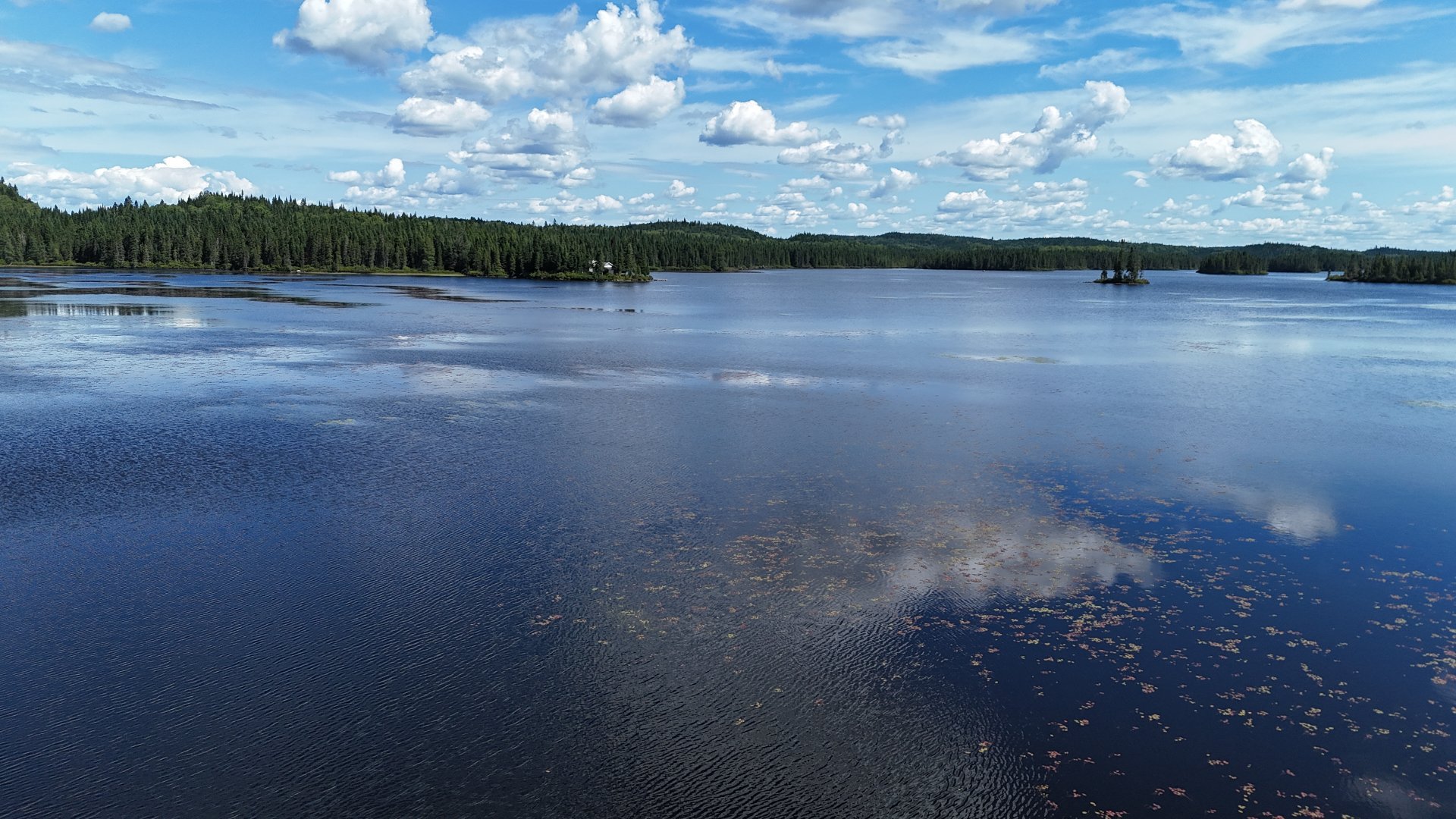 Vue sur l'eau