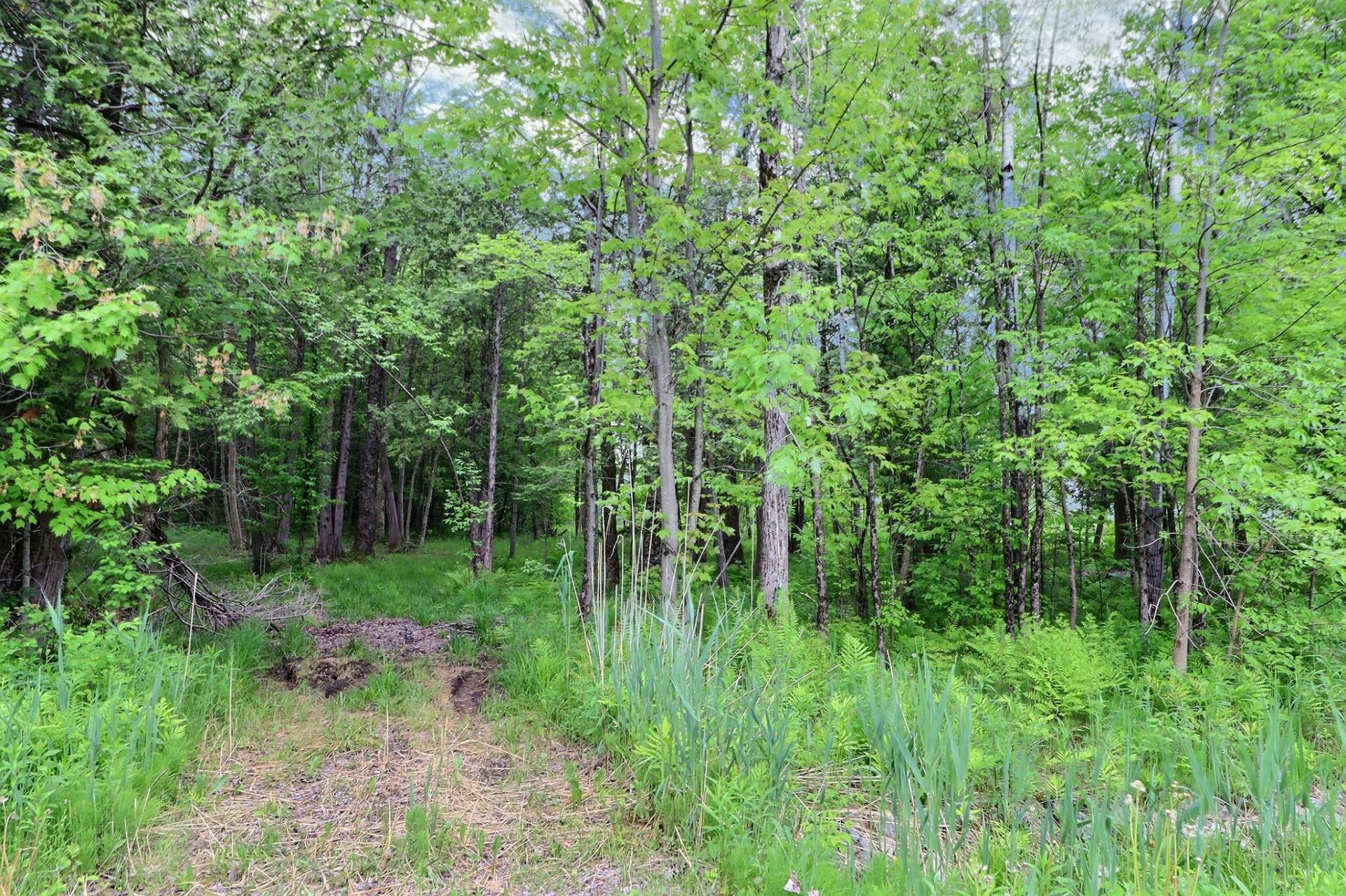 Land/Lot