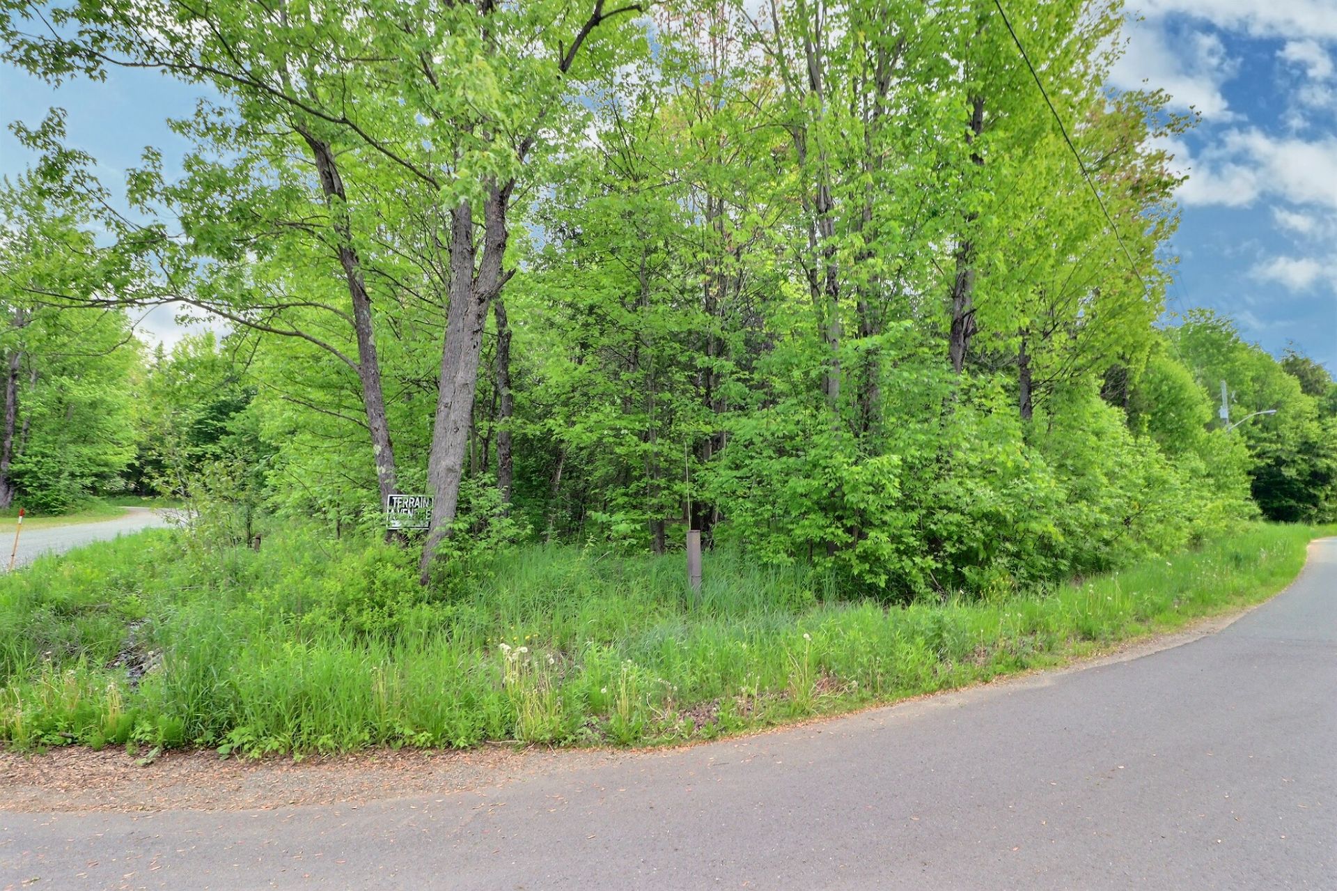 Land/Lot