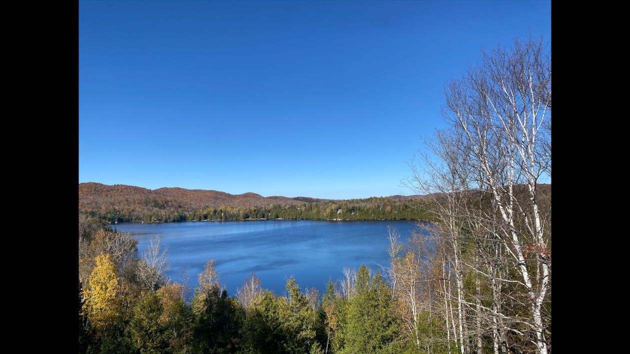 Vue du Belvédère laurel