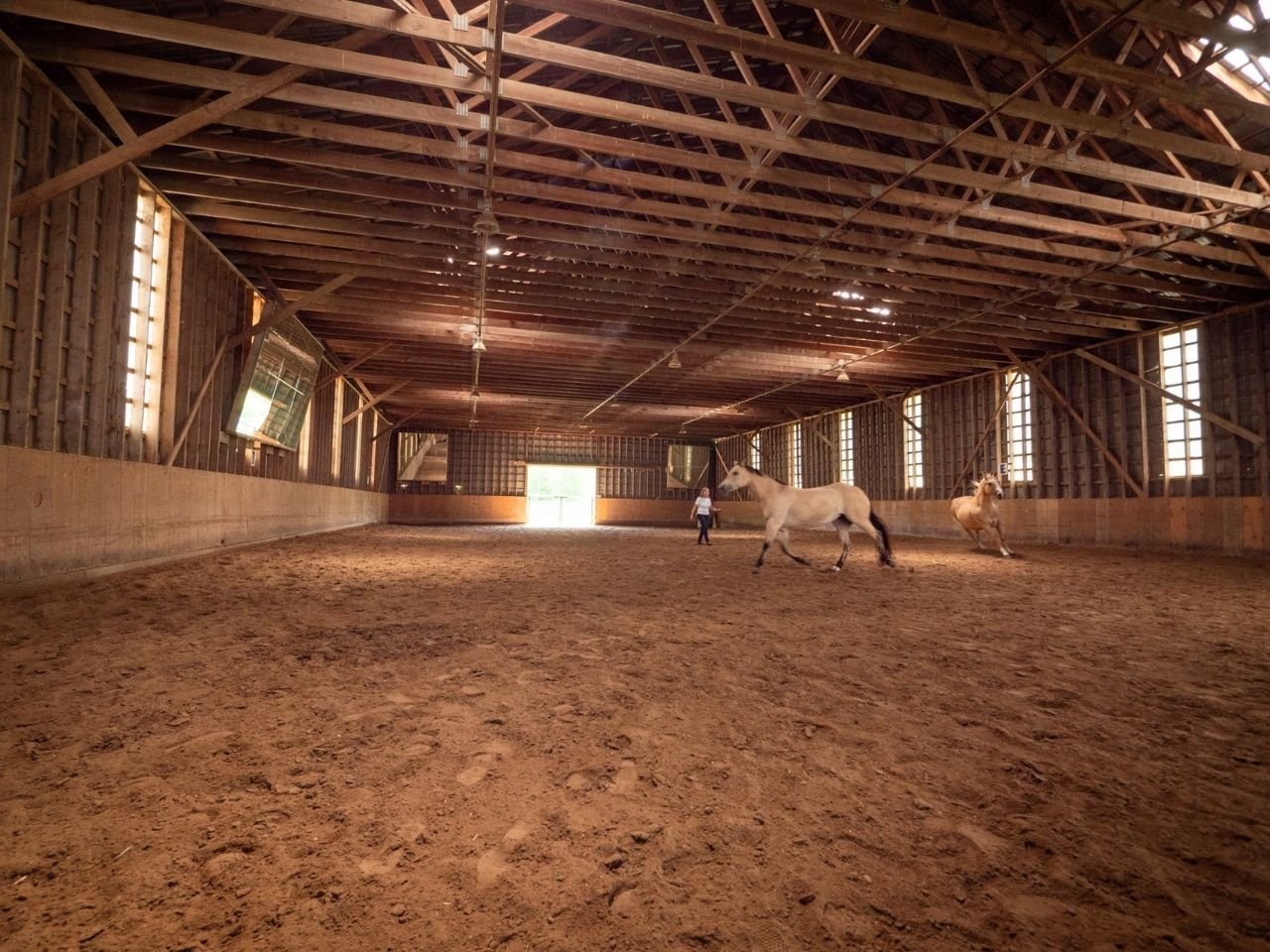 Manège
