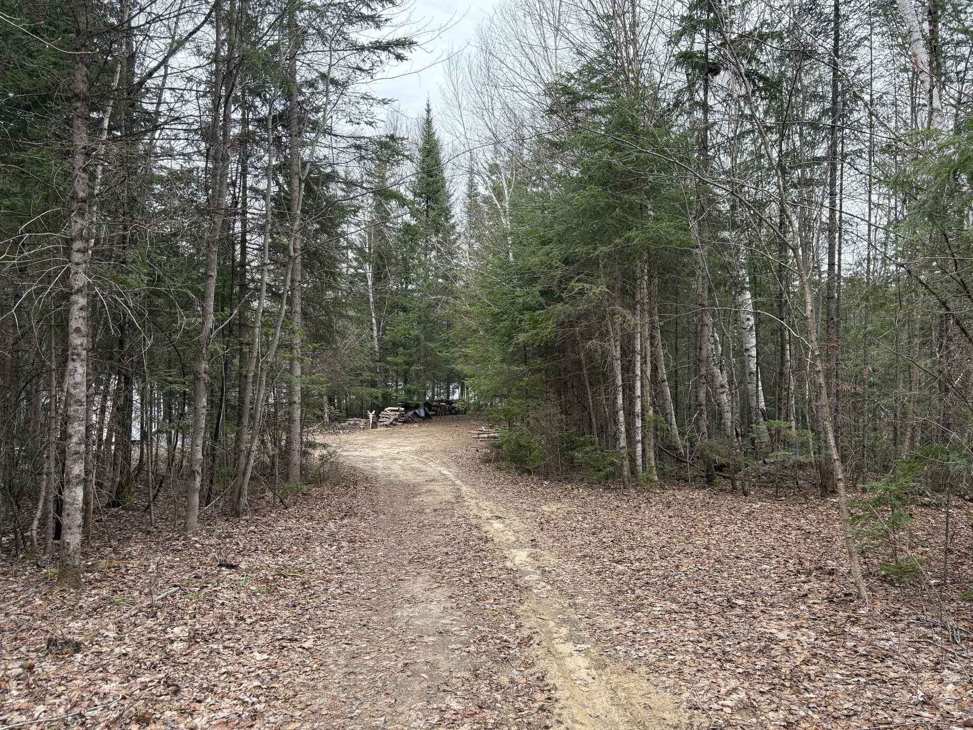Land/Lot
