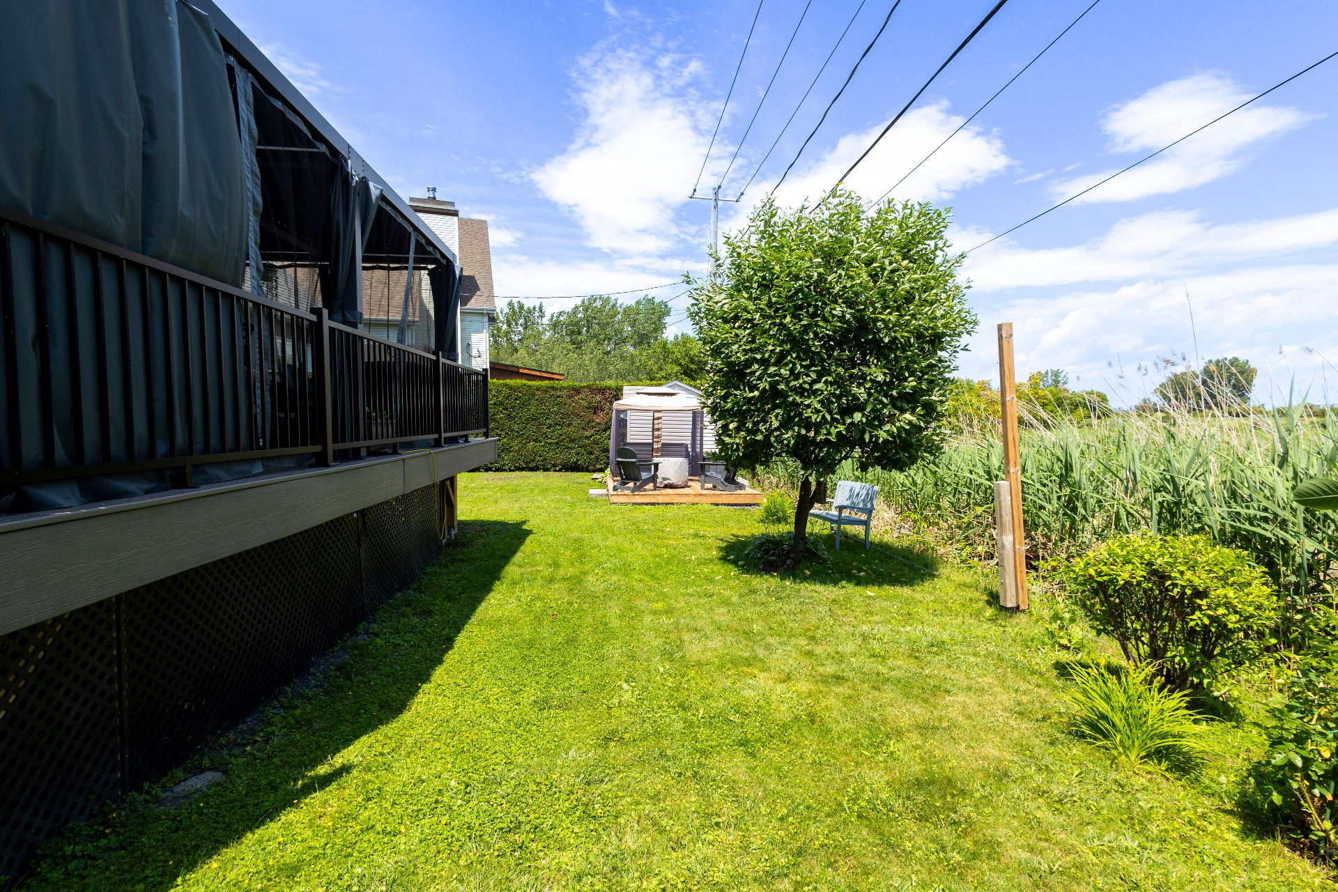 Backyard