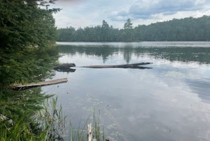 Bord de l'eau
