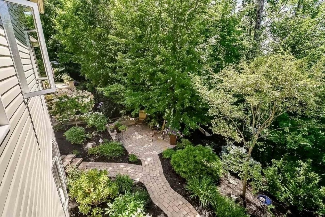 Wooded area
