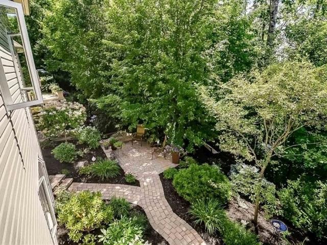 Wooded area