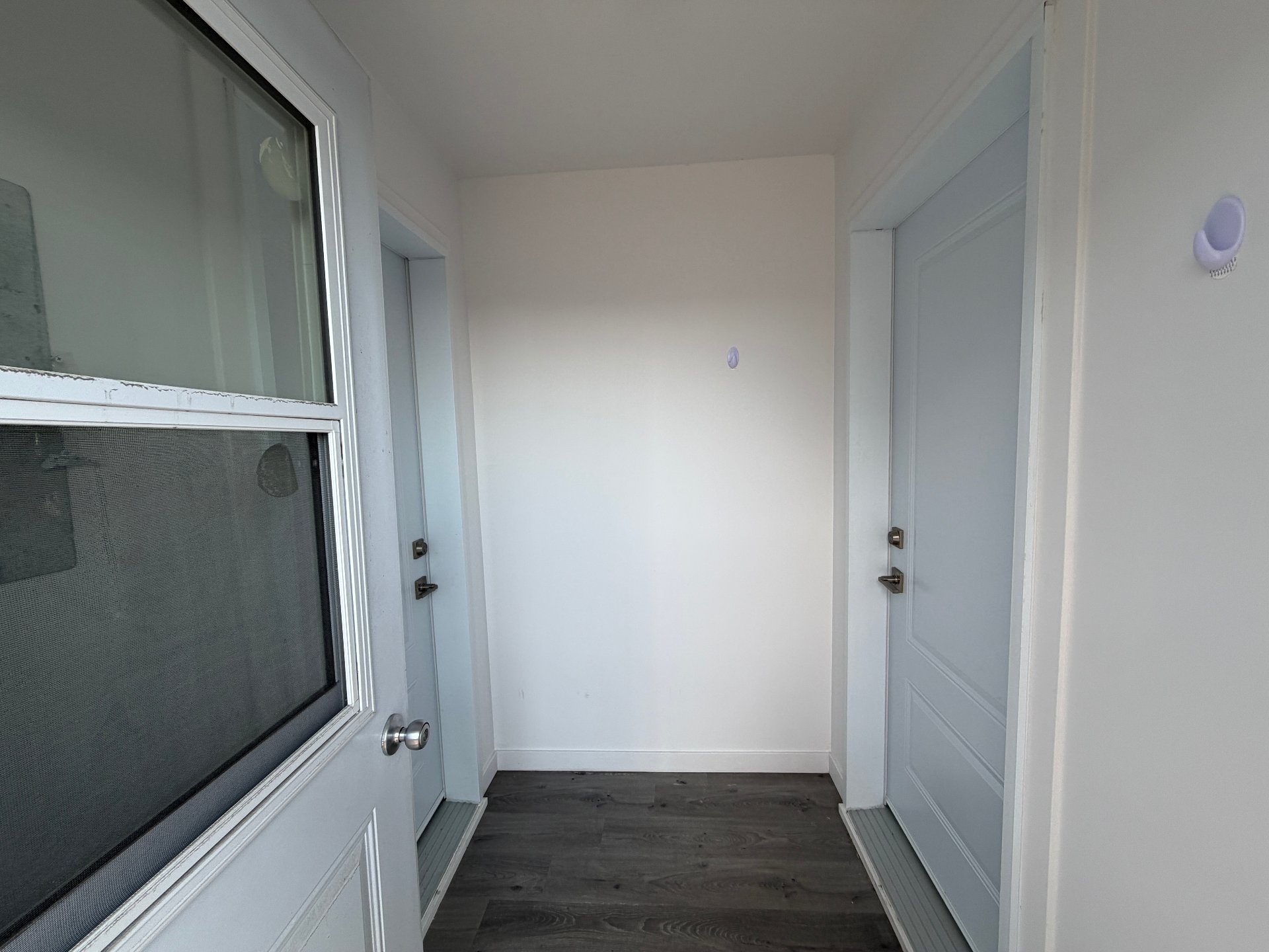 Hall d'entrée/Vestibule