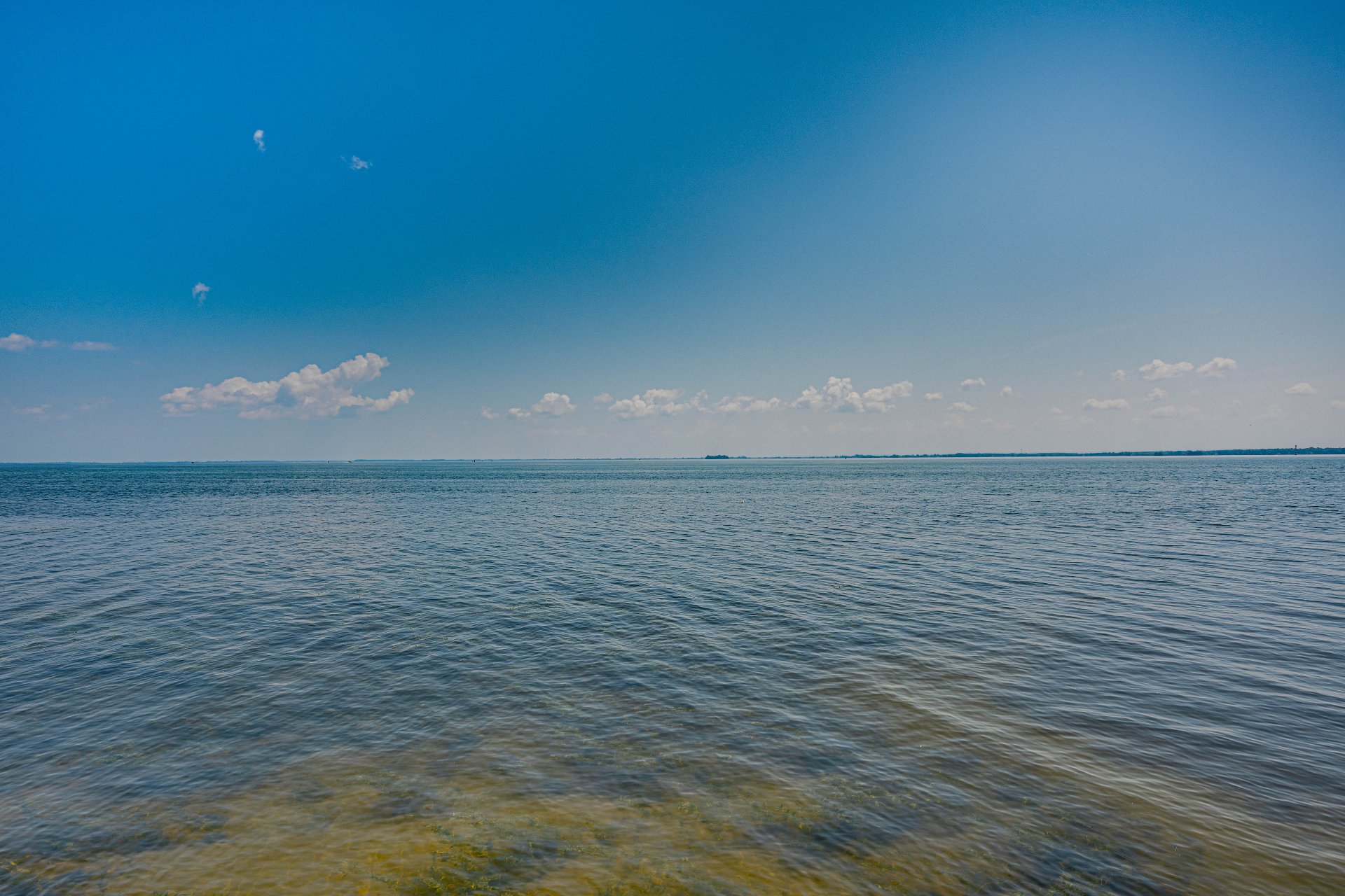 Vue sur l'eau