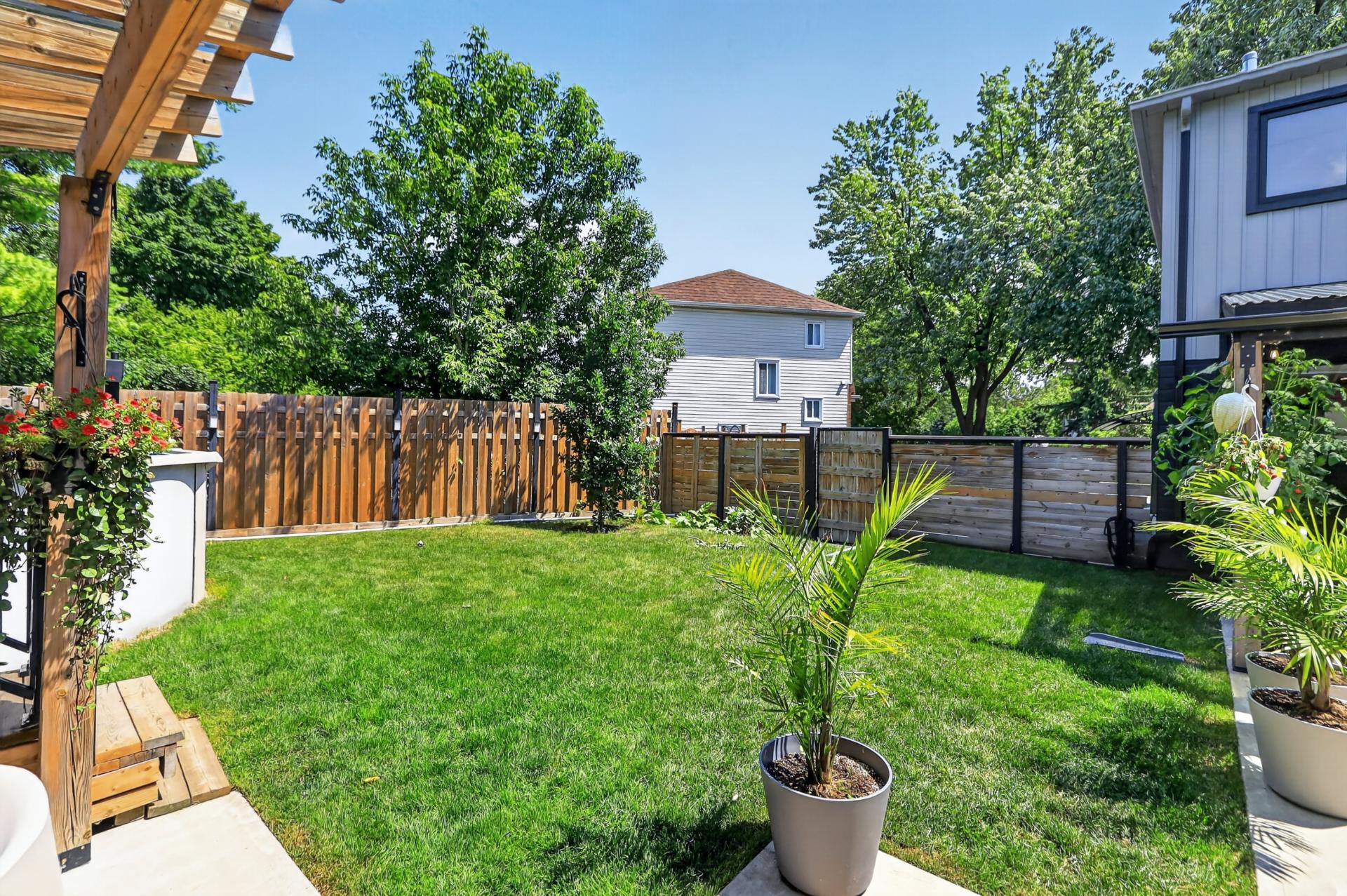 Backyard